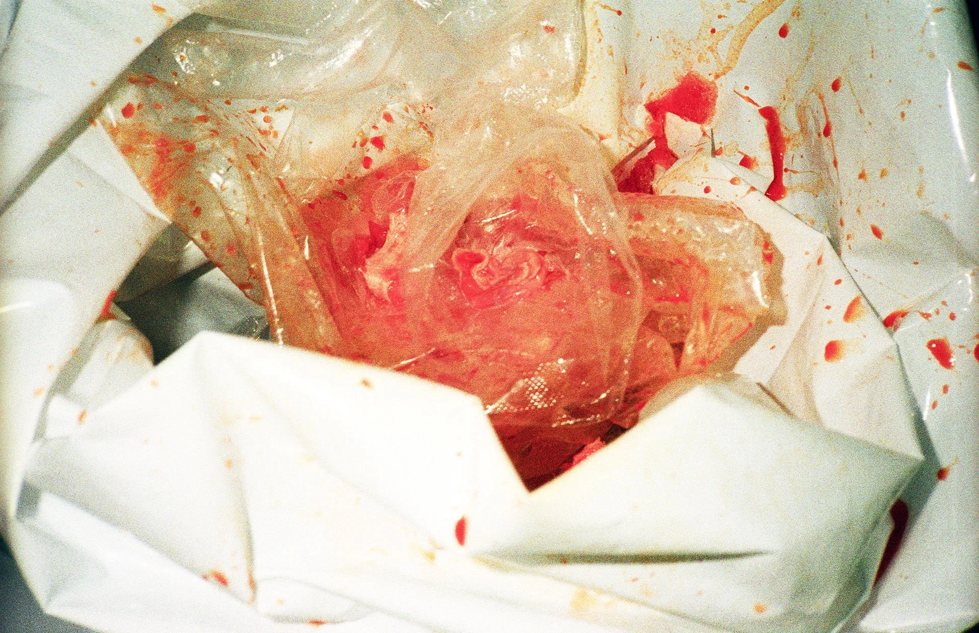 Inside a white cardboard box with bloodstains, containing a clear plastic bag with raw meat.