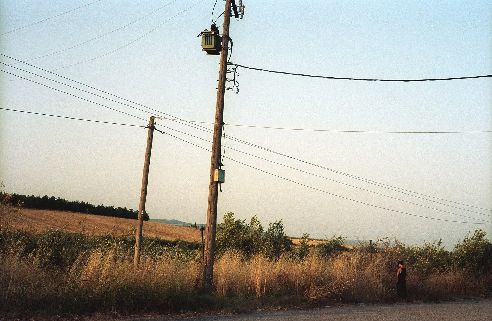 A rural scene with two wooden utility poles carrying power lines across a landscape of fields and trees, with a person walking along a dirt path in the lower right corner during sunset or dusk.