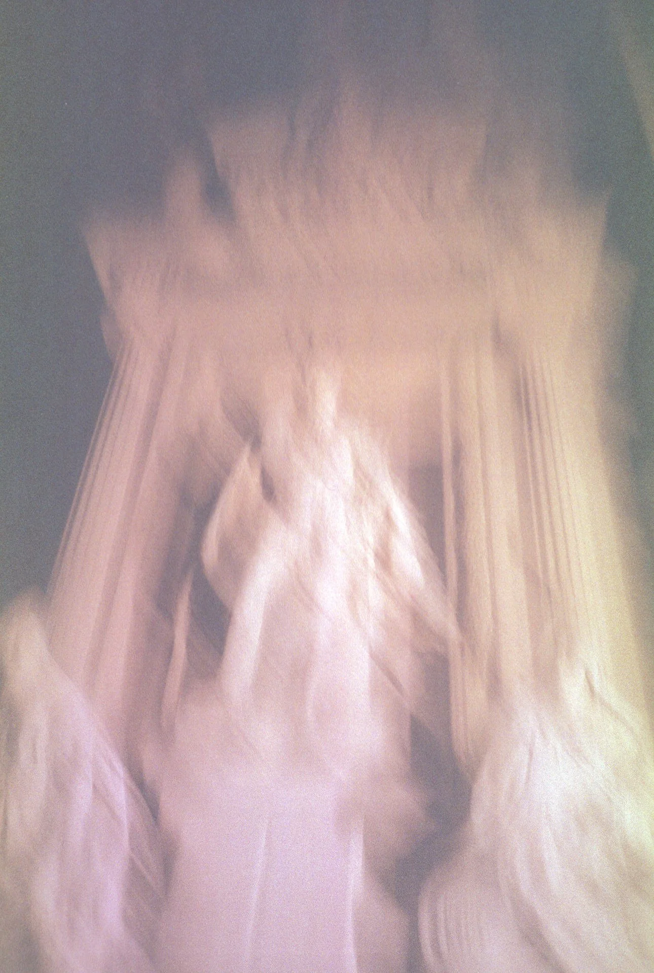 A dog walking on a light-colored carpet in front of a curtain.