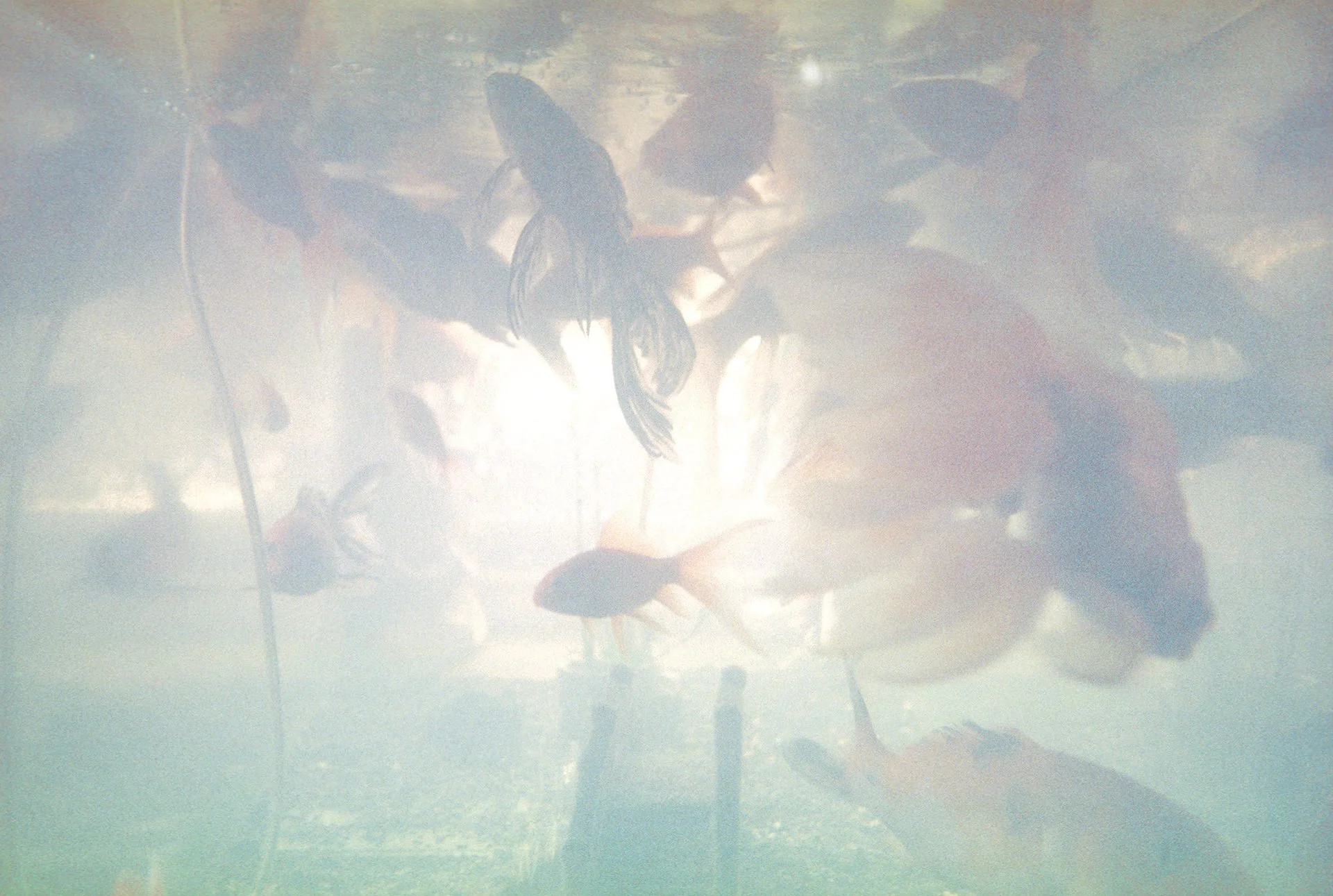 Reflection of a person riding a motorcycle on a paved road through a water surface with trees and sky in the background.