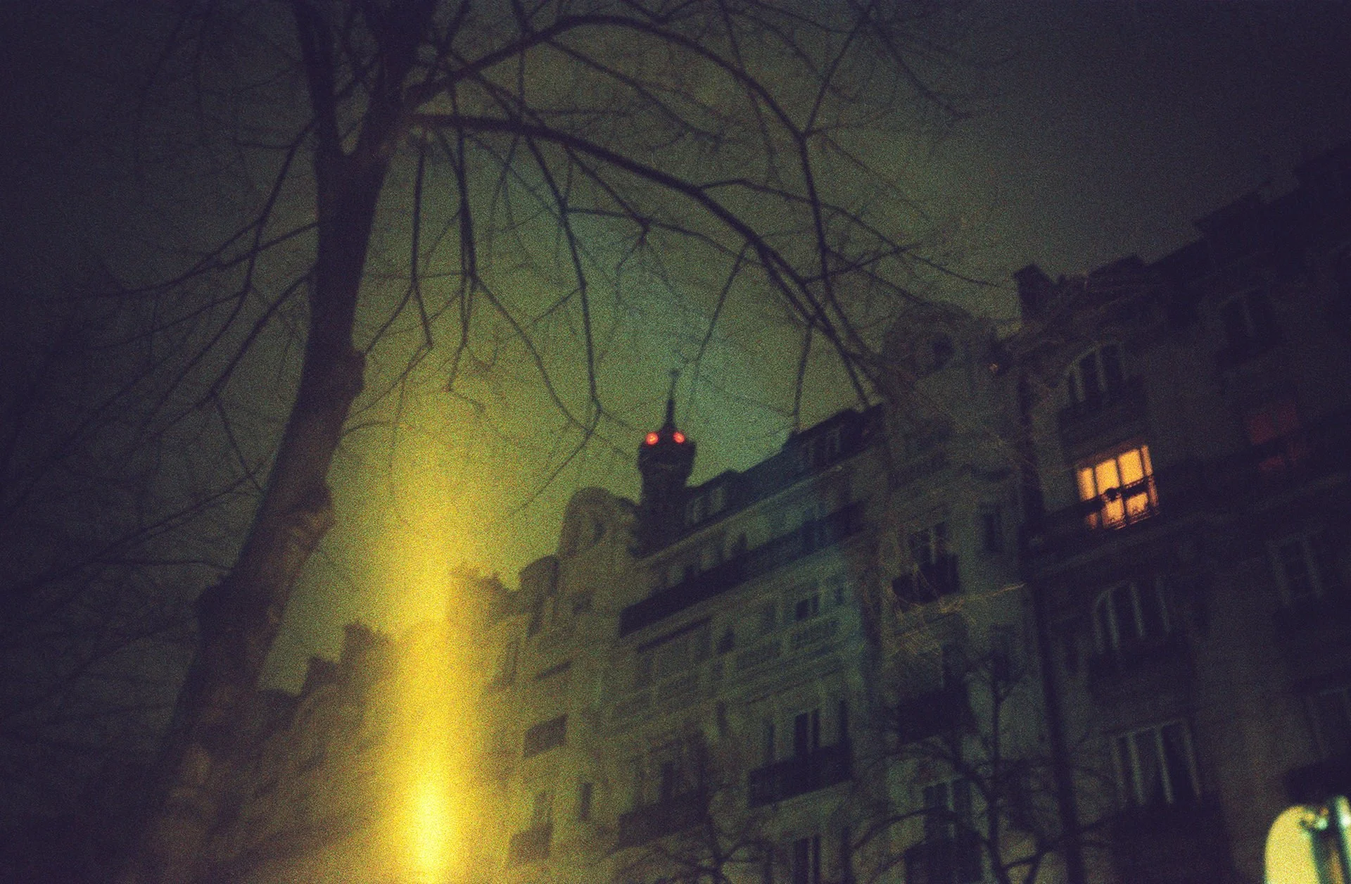 Nighttime view of a foggy city street with a leafless tree in the foreground and a multi-story building with lit windows in the background. A streetlight casts a yellow glow.