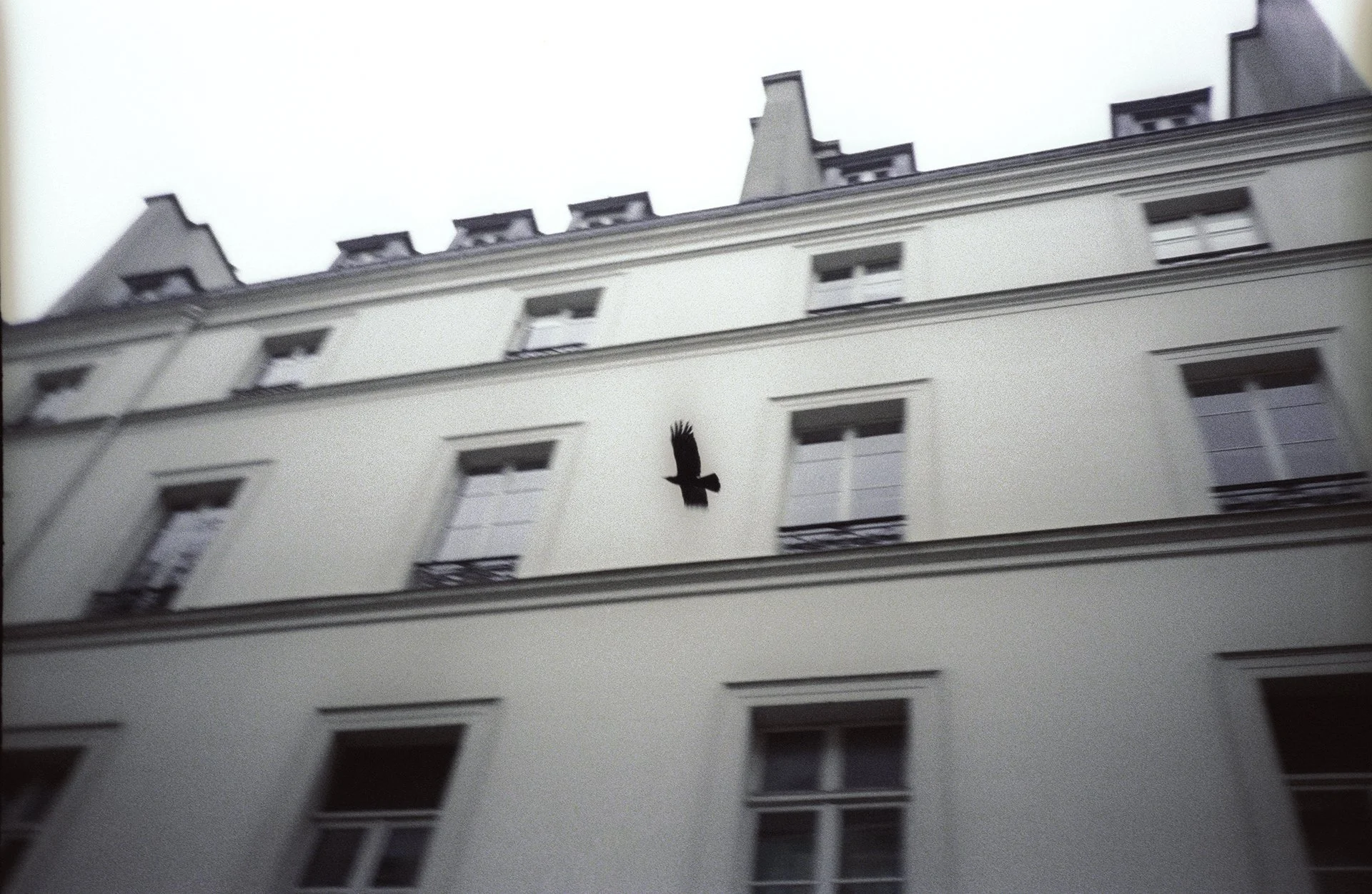 A bird flying in front of a multi-story white apartment building with several windows and balconies.