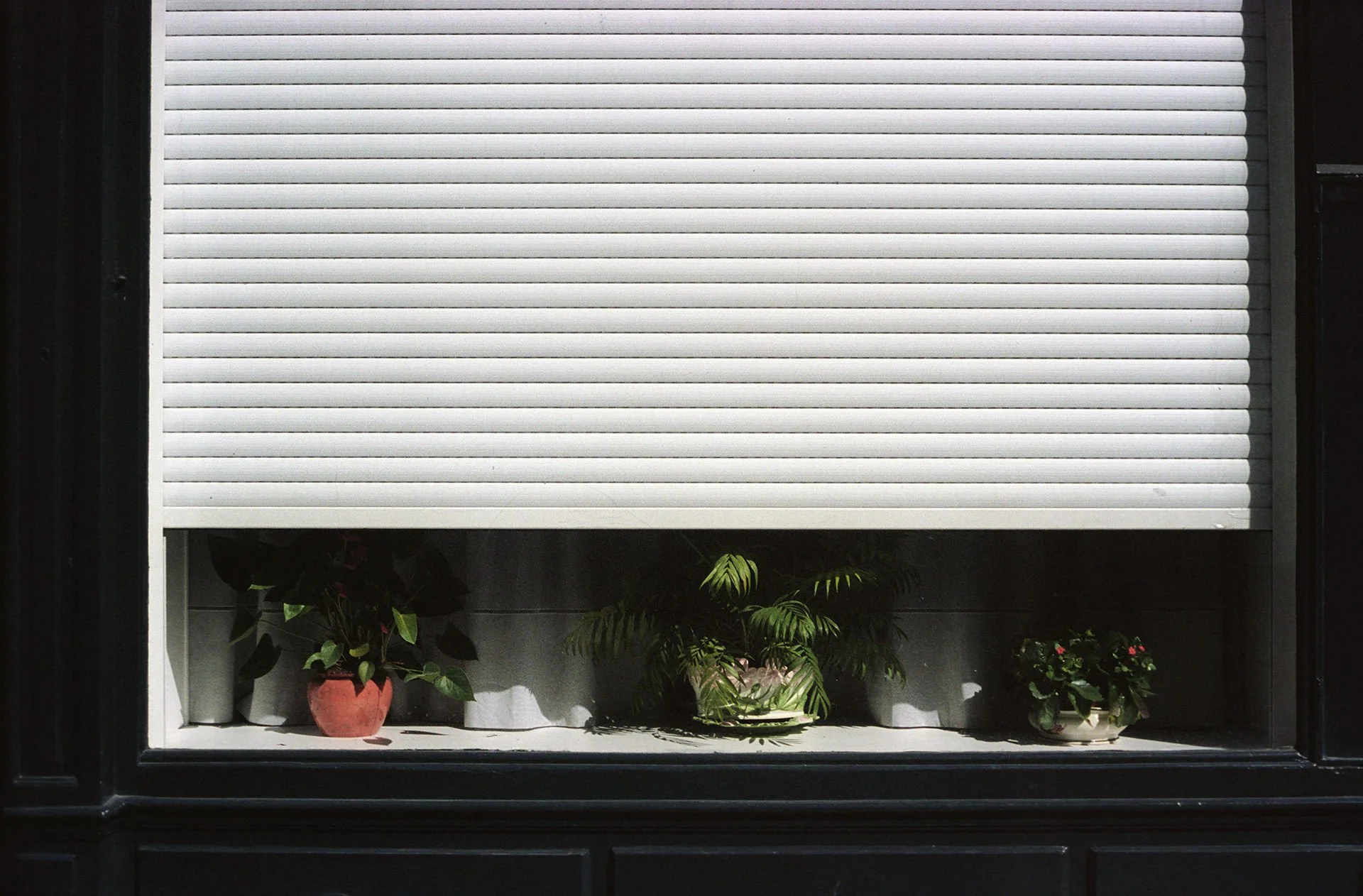 A large window with white horizontal blinds partially open, revealing potted plants underneath. The window has a black frame and is set in a dark exterior wall.