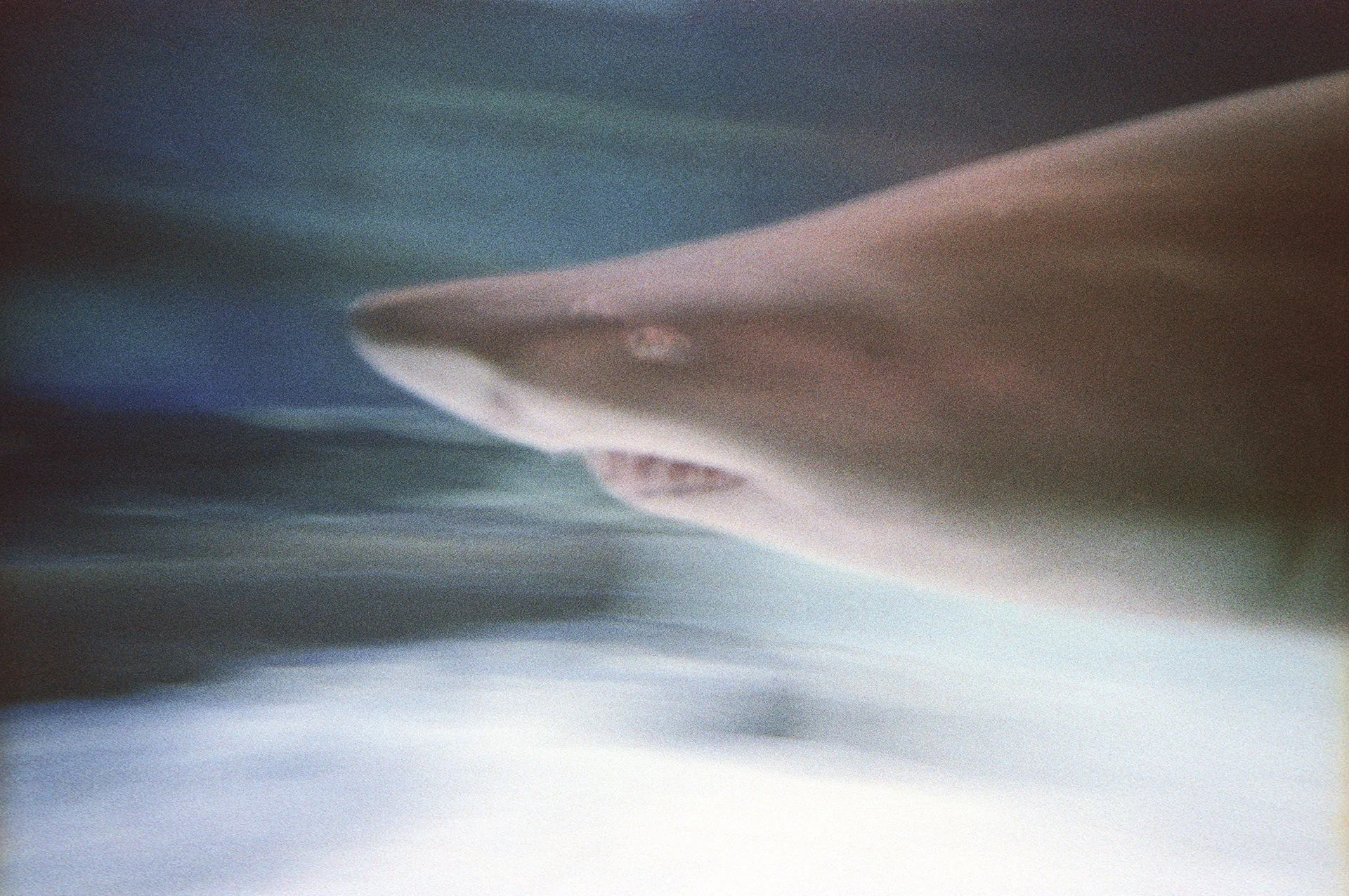 Close-up of a jet plane soaring through a cloudy sky, with mist and clouds in the background.