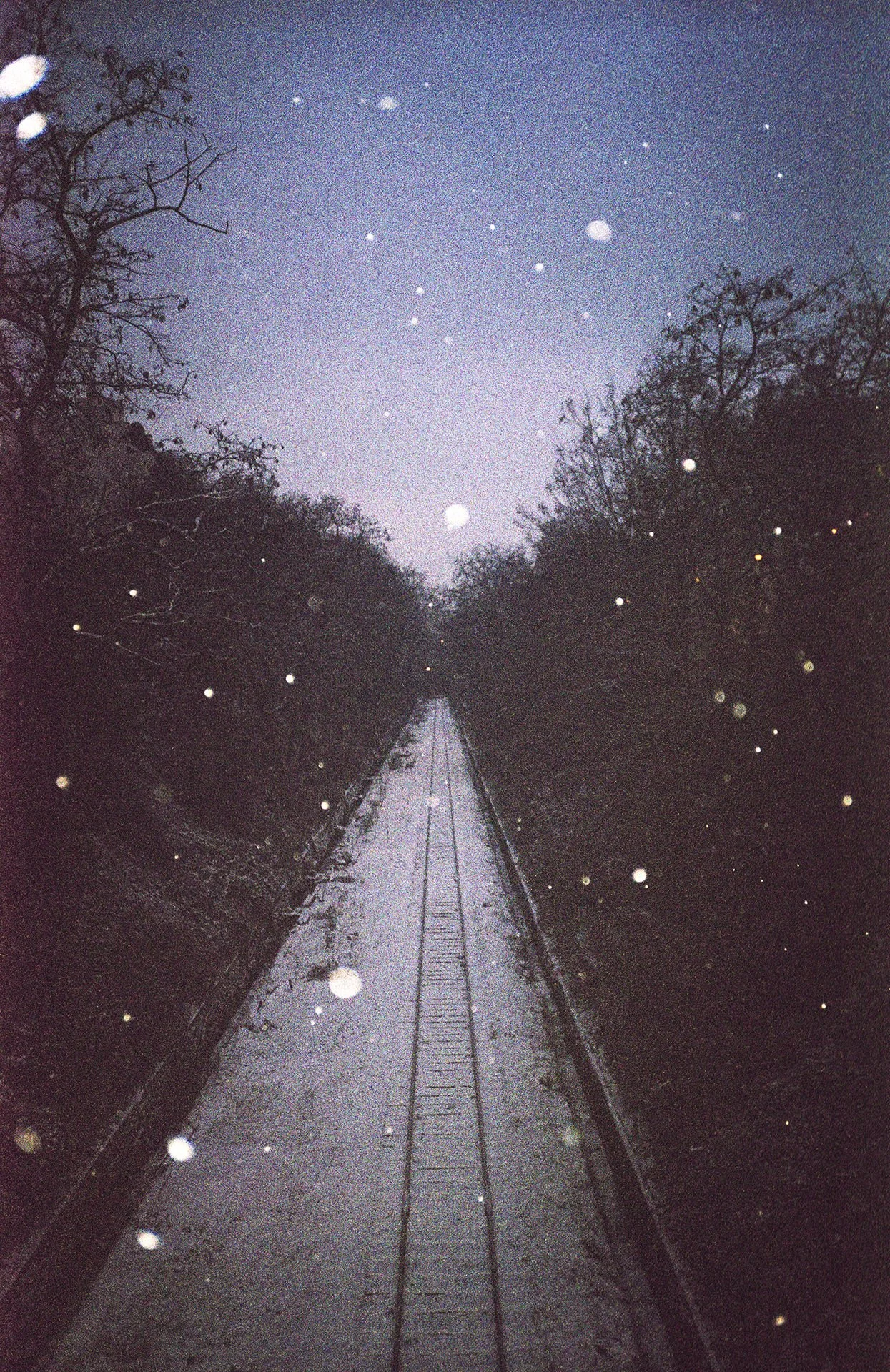 A snow-covered railroad track running through a wooded area at night with snowflakes falling from the sky.