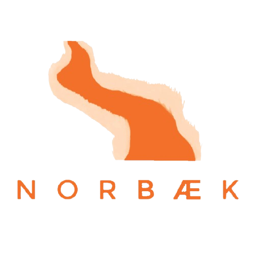A colorful map of Norway with an 'N' at the start and the word 'NORBEK' at the bottom.