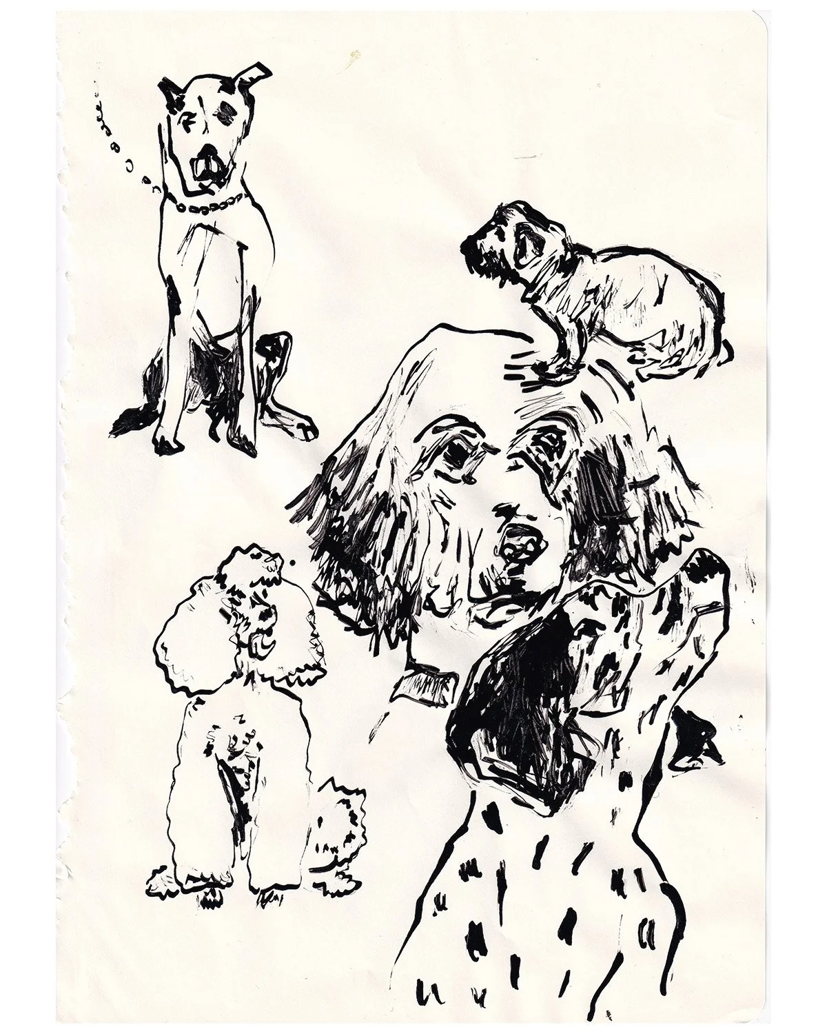 Black and white sketch of multiple dogs of different breeds on a plain background.