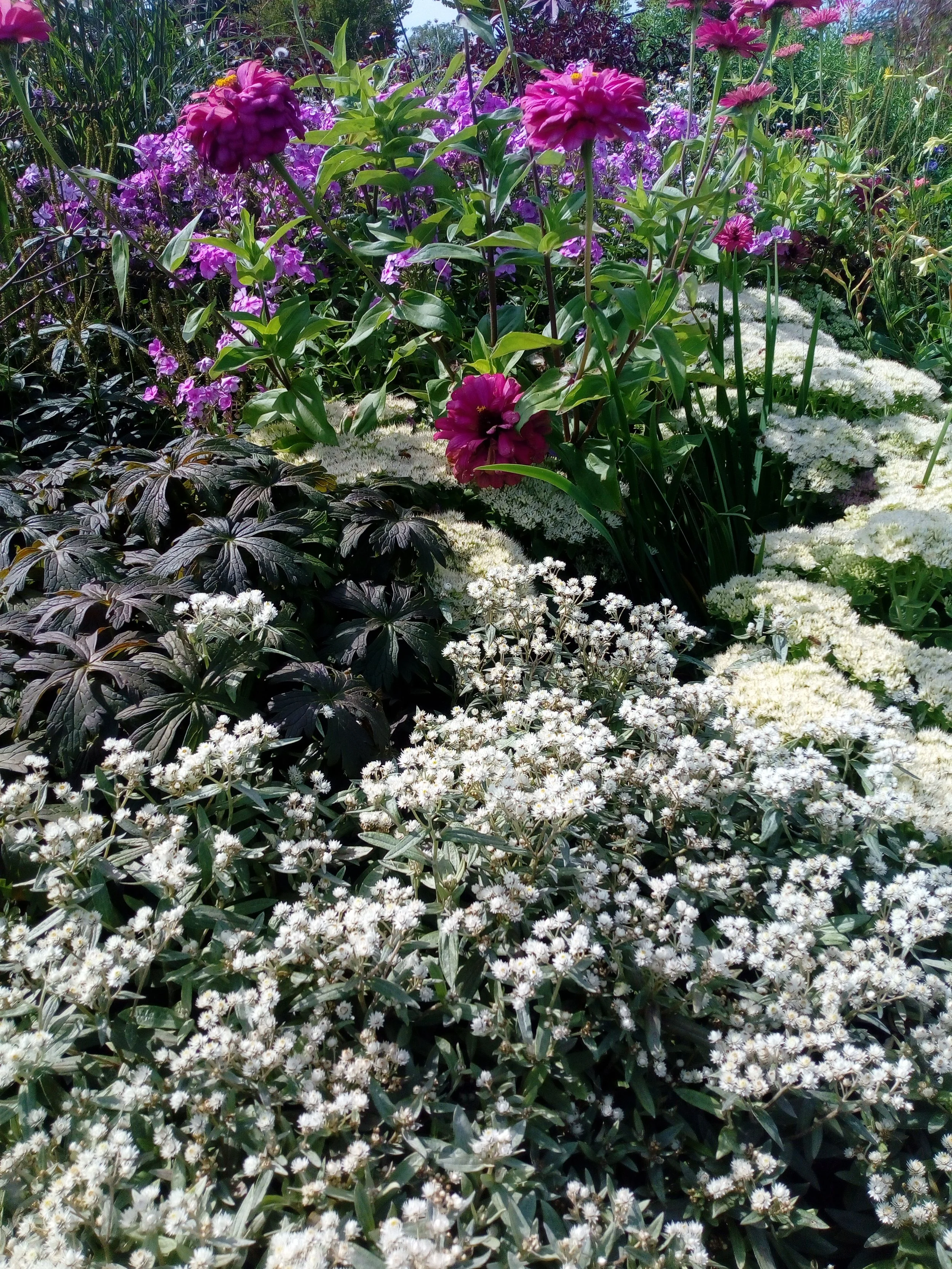 giardino fiorito con piante ornamentali viola rosa e bianche realizzazione giardini Veneto