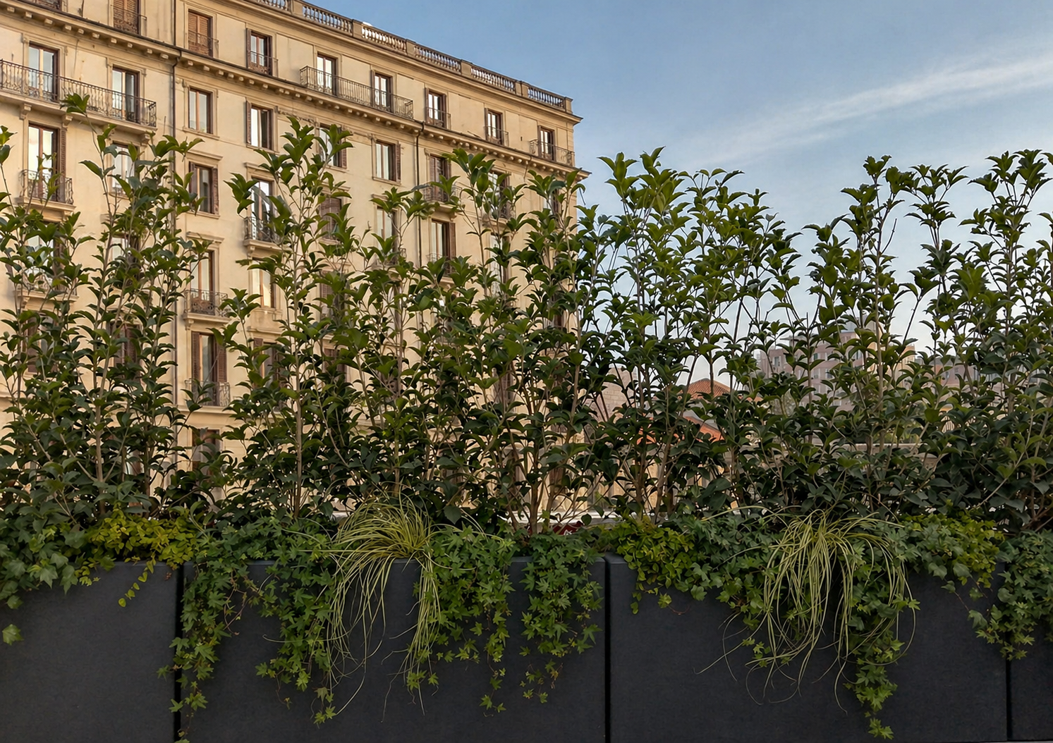 allestimento terrazzo Venezia con fioriere nere e piante verdi design urbano elegante, terrazzo con fioriere moderne e piante verdi su sfondo urbano,  realizzazione terrazzo cliente Veneto con fioriere moderne e piante ornamentali padova  venezia