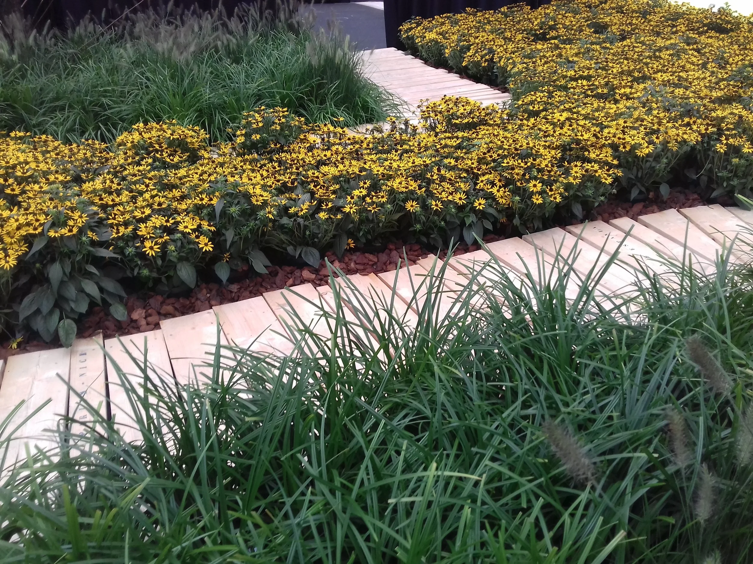 Un giardino paesaggistico con un sentiero sinuoso, fiori gialli, piante verdi e pacciame decorativo rosso.