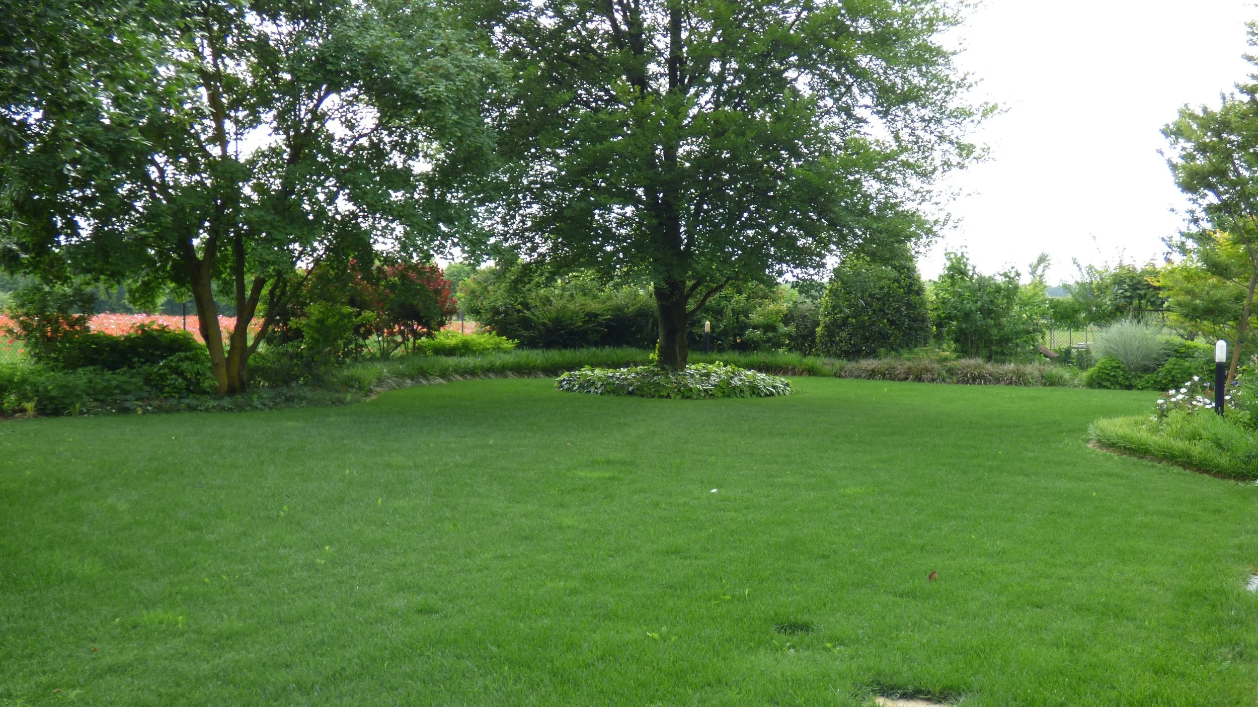 A well-maintained green lawn with a large tree at the center, surrounded by various shrubs and flowers, in a landscaped garden.