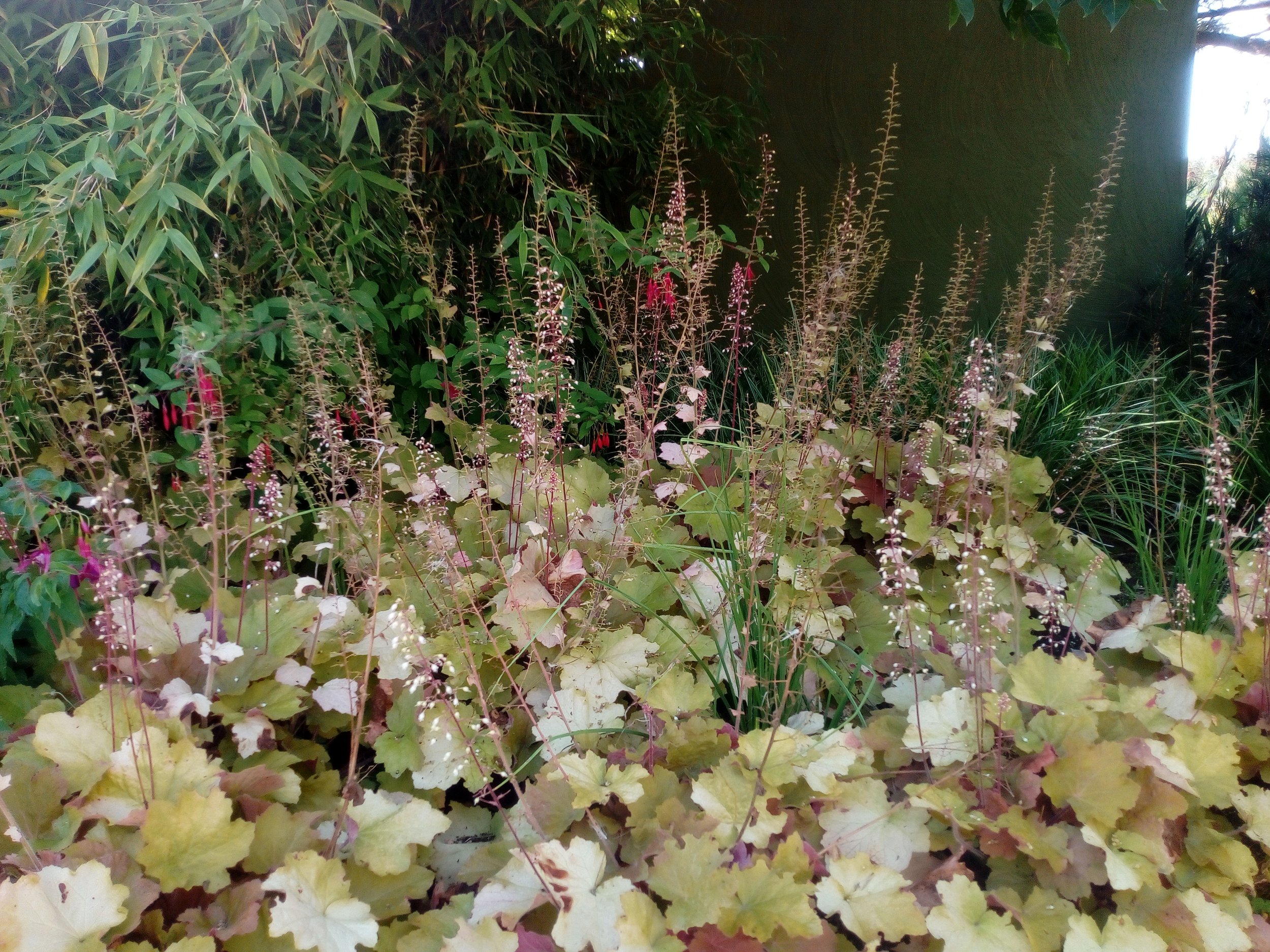 realizzazione giardino con piante ornamentali Venezia Padova Vivcenza Treviso aiuole fiorite e verde curato