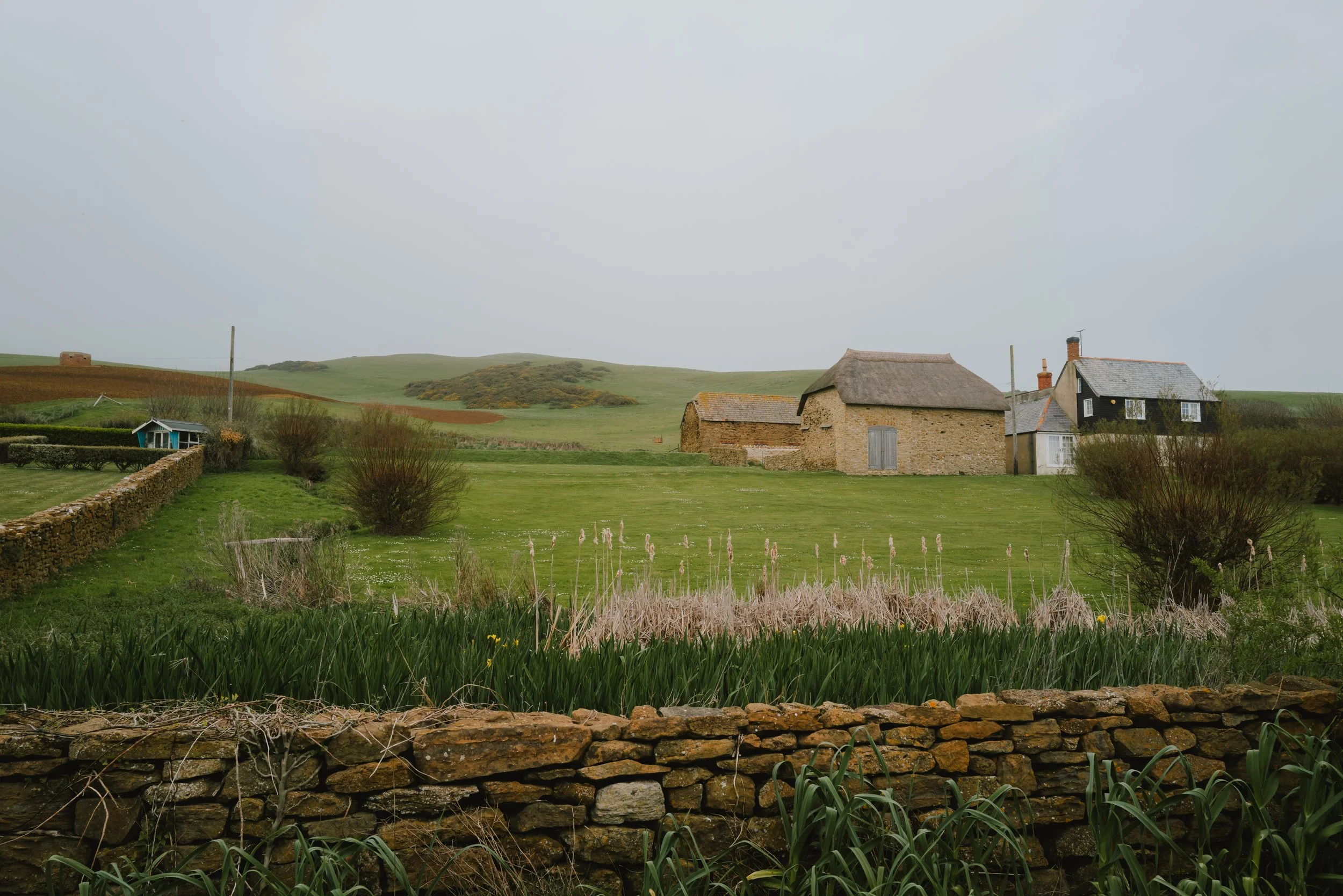 L1025056.jpg