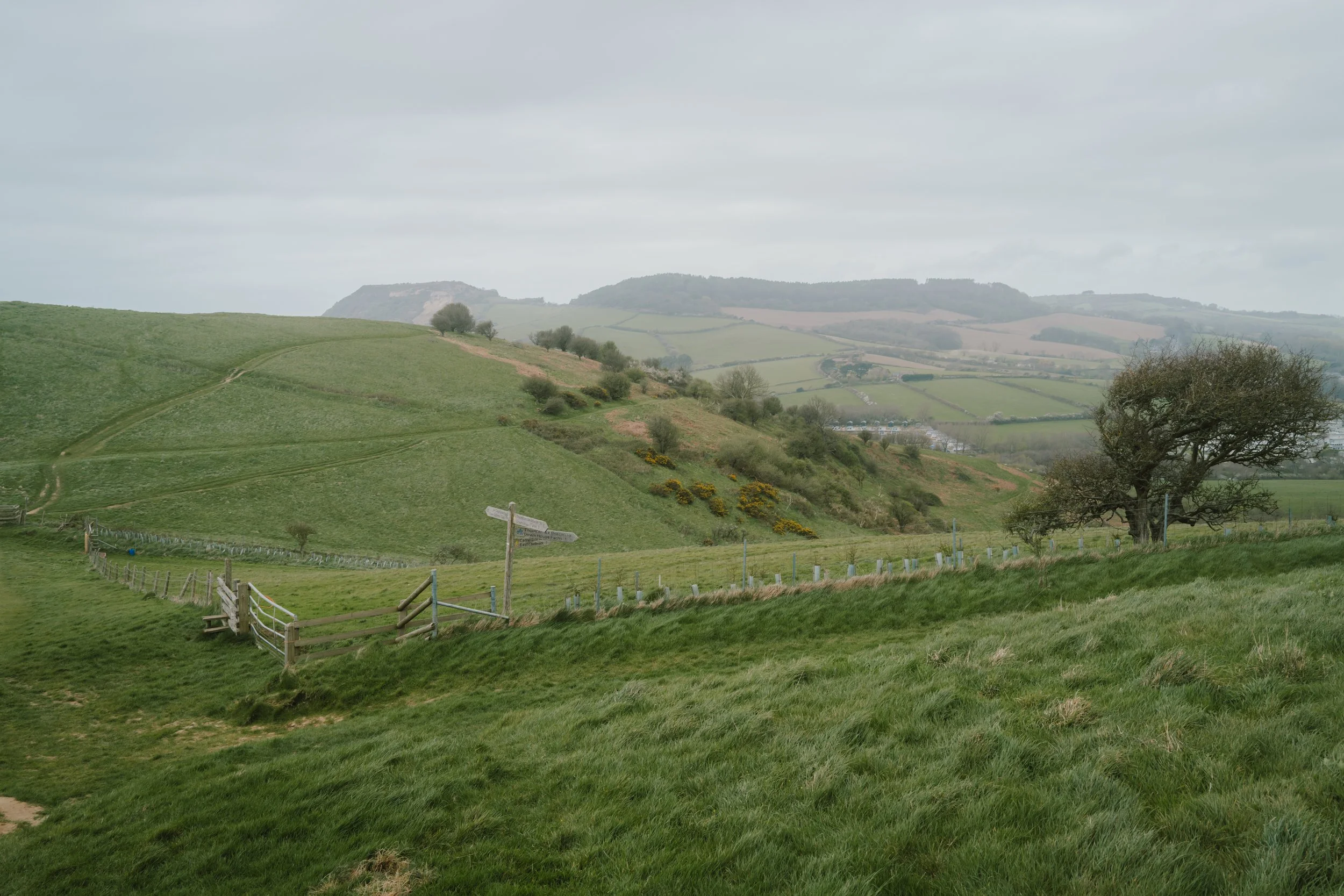 L1025266.jpg