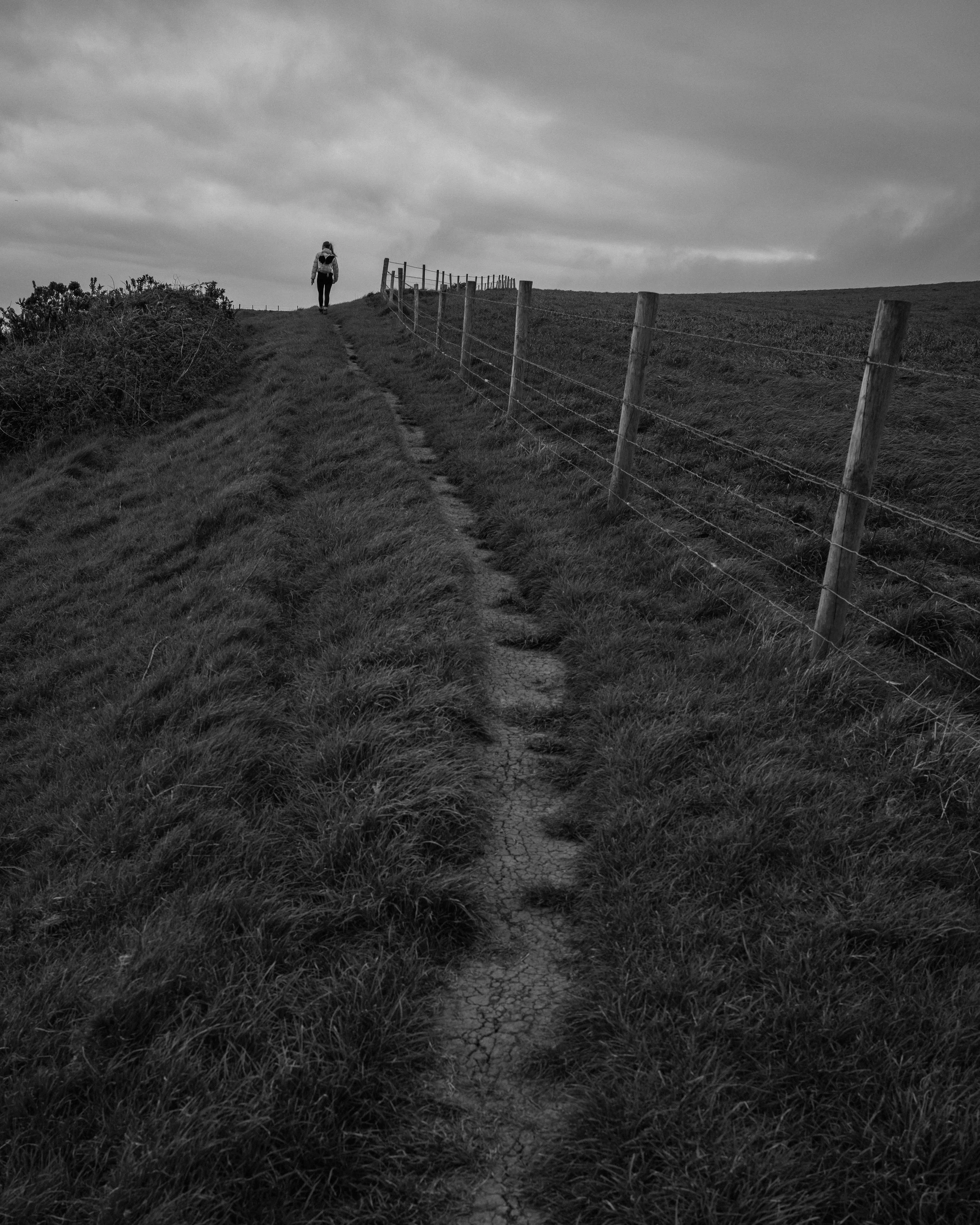 L1025037.jpg