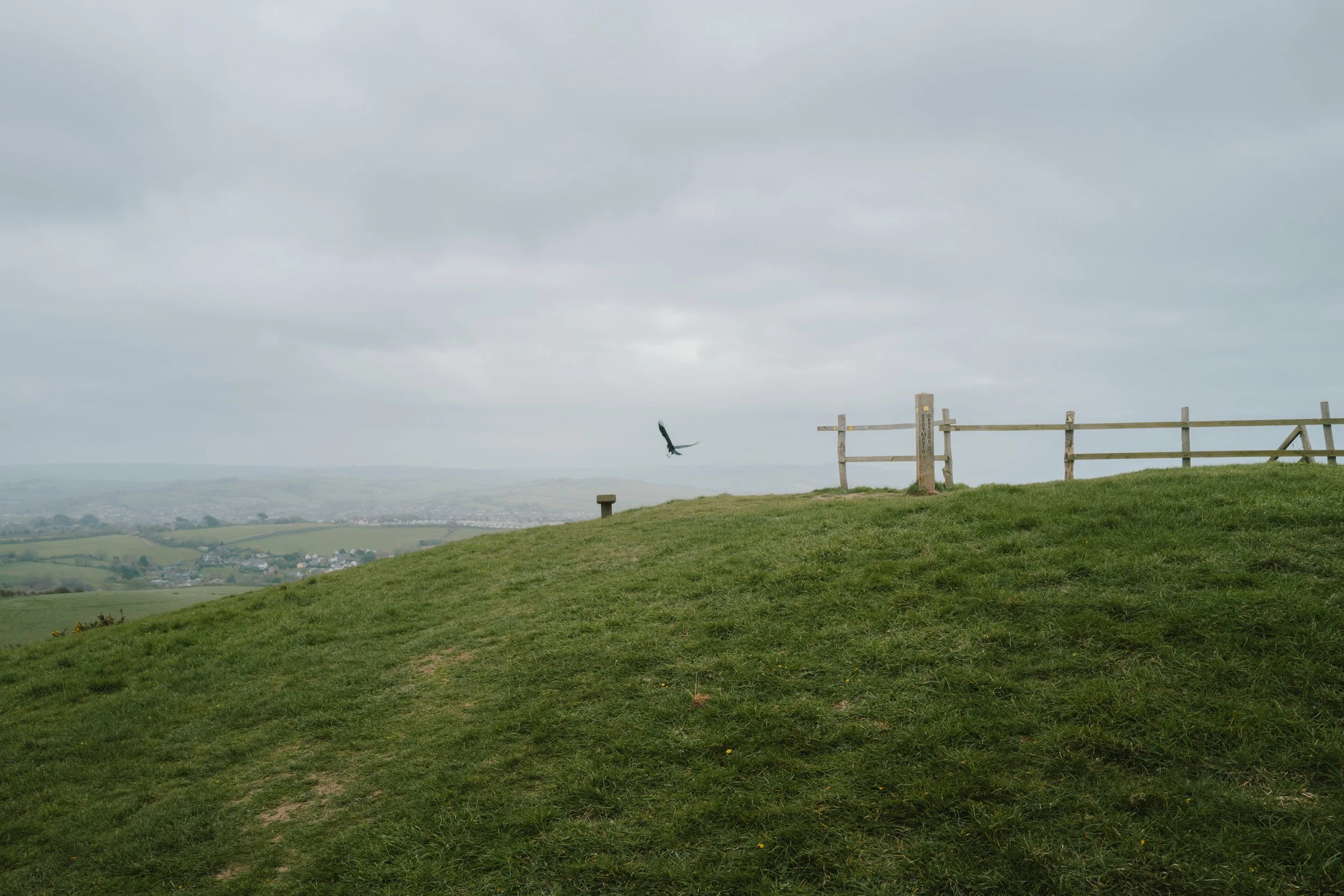 L1025236.jpg