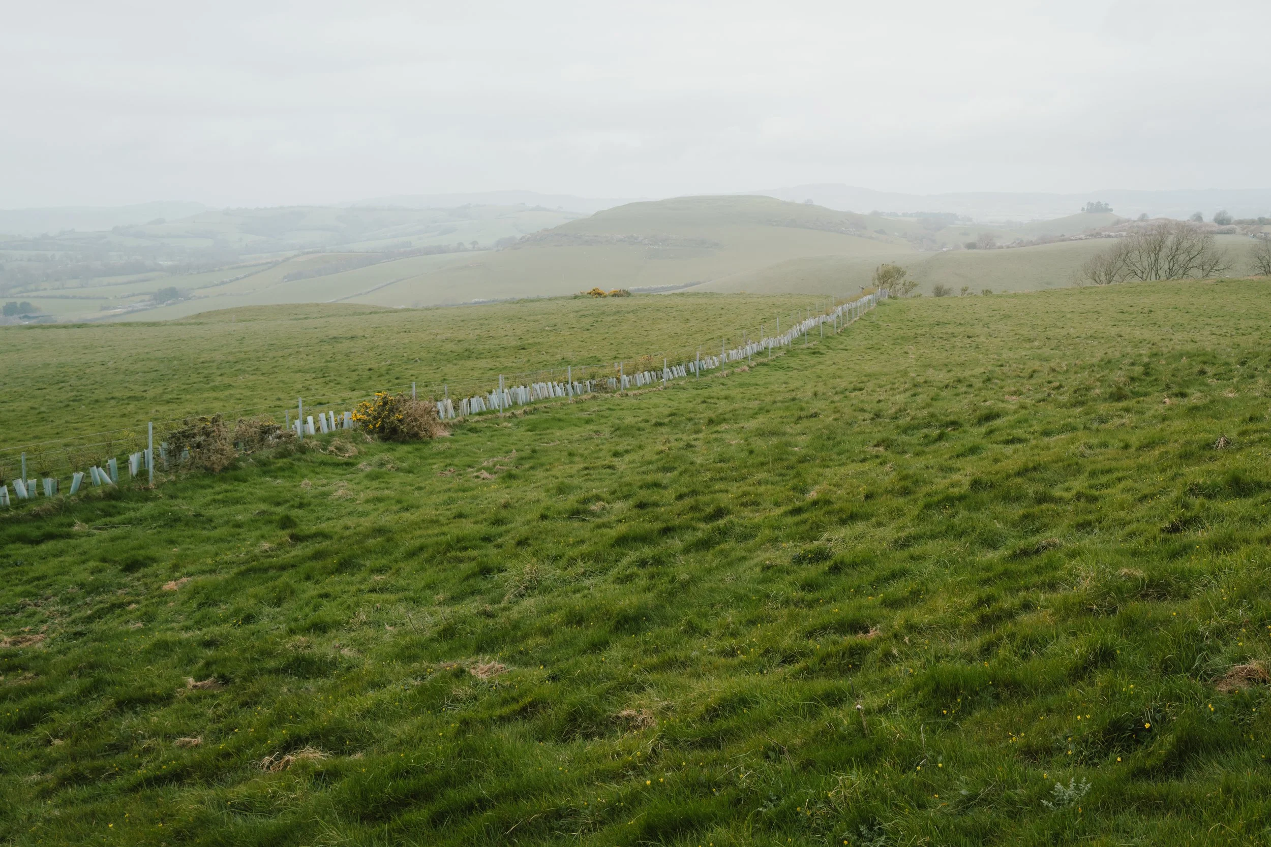 L1025250.jpg