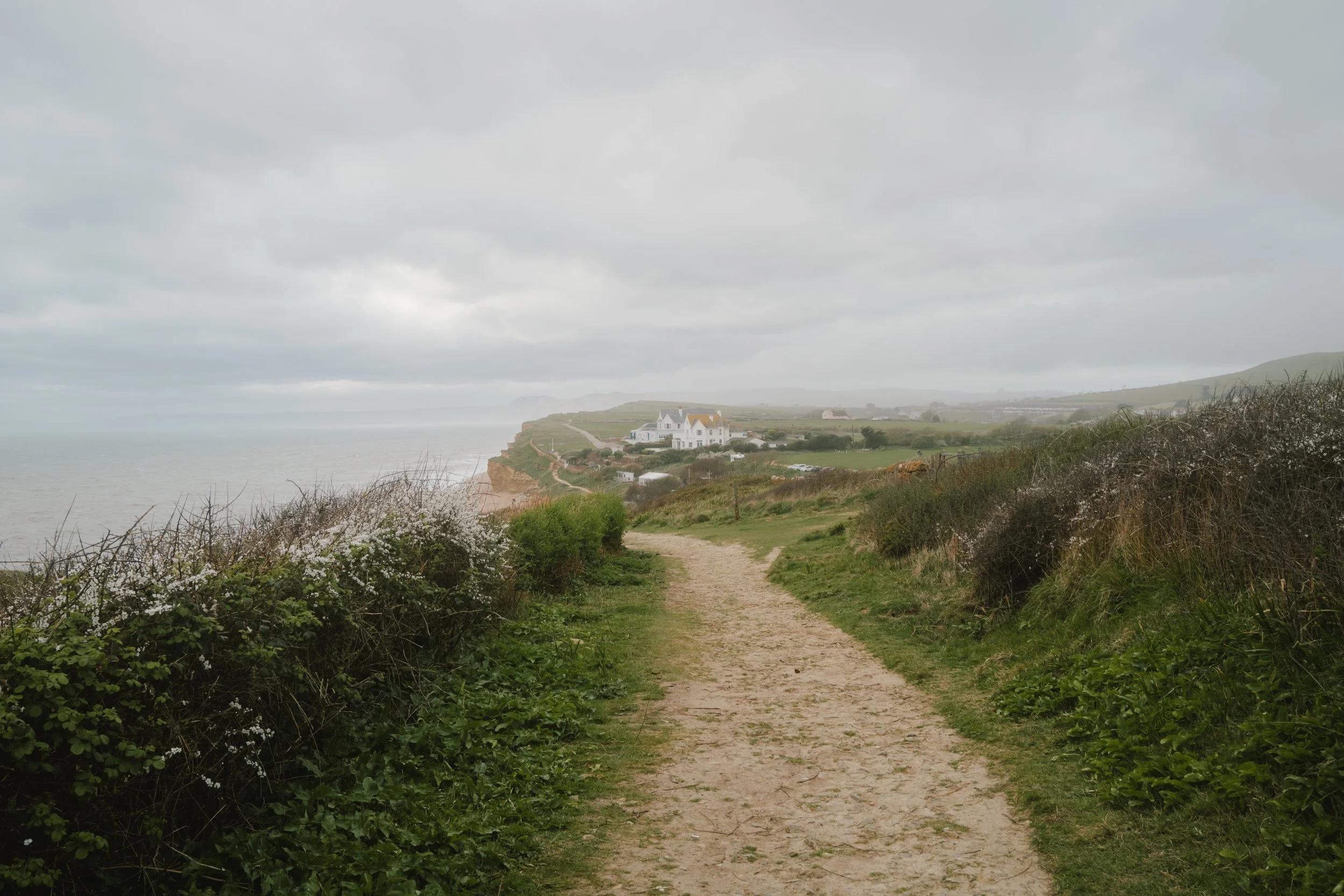 L1025137.jpg