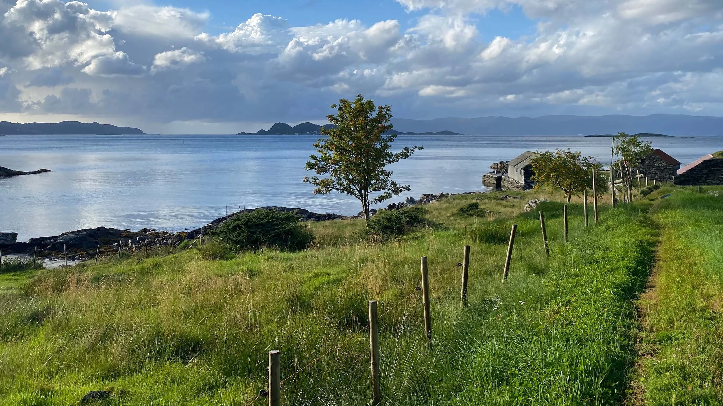 Landskap med sjø, grønne enger, enkelt tre og små hus, med fjell og skyer i bakgrunnen.