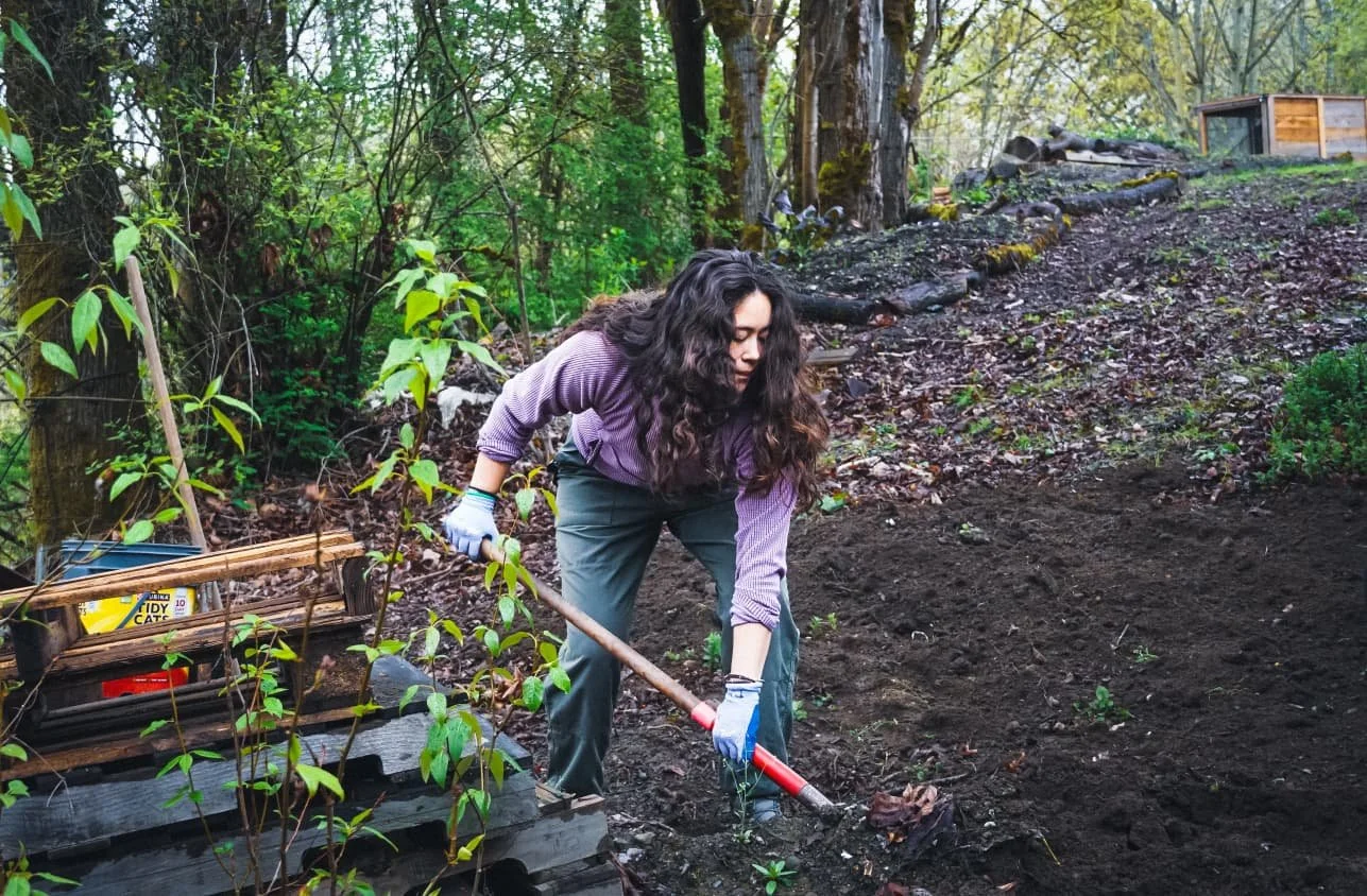 Woman gardening outdoors, digging in dark soil with a shovel, surrounded by trees, plants, and gardening supplies.