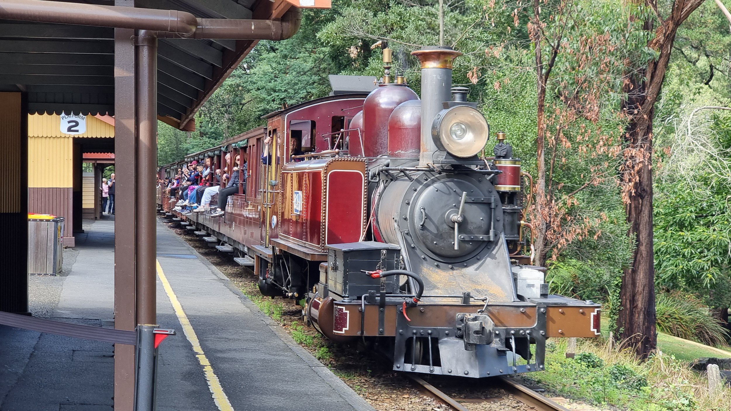 パッフィンビリー鉄道ツアー、前方からの蒸気列車の写真。高級パッフィンビリーツアー、プライベート日本語メルボルンツアー。Puffing Billy Private luxurious Melbourne tour.