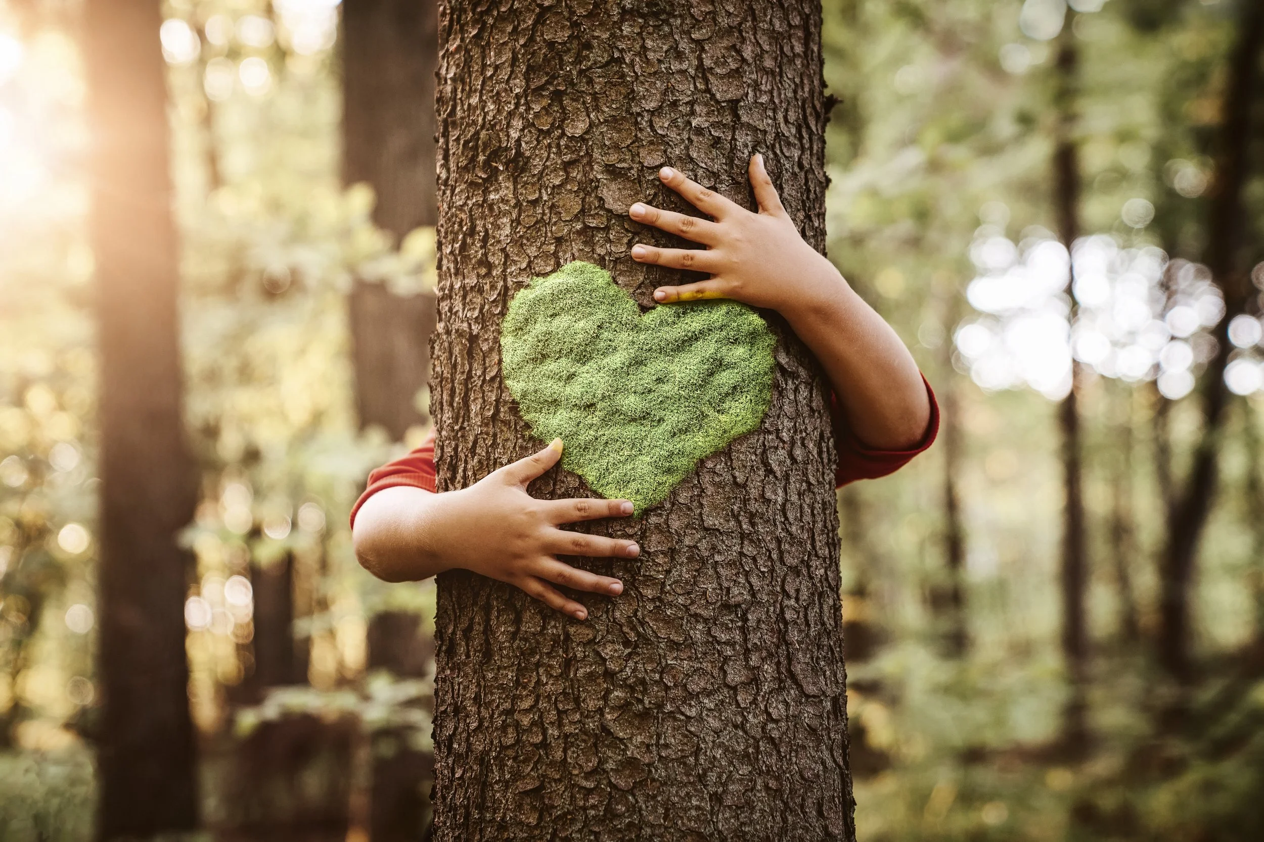 A person hugging a tree in a forest with a heart shape painted on the tree trunk.