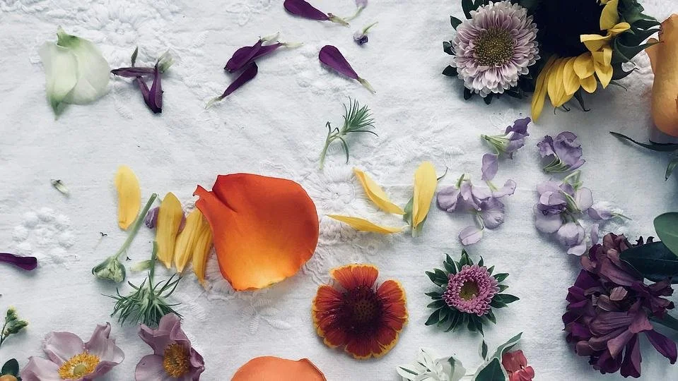 Rise & Bloom: Yoga & Sound Bath for the Spring Equinox