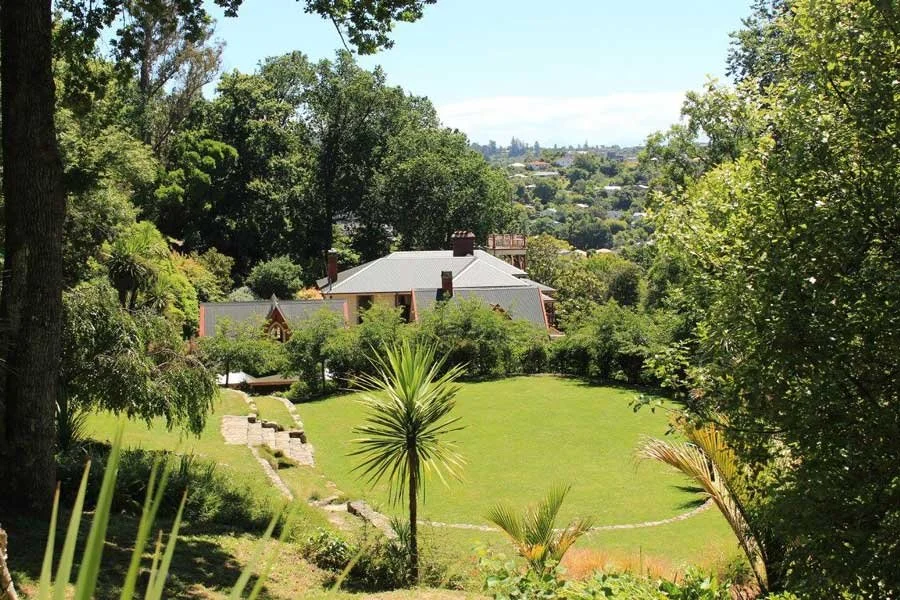 A lush green backyard with a circular lawn, tropical plants, and trees, with a house in the background under a partly cloudy sky.