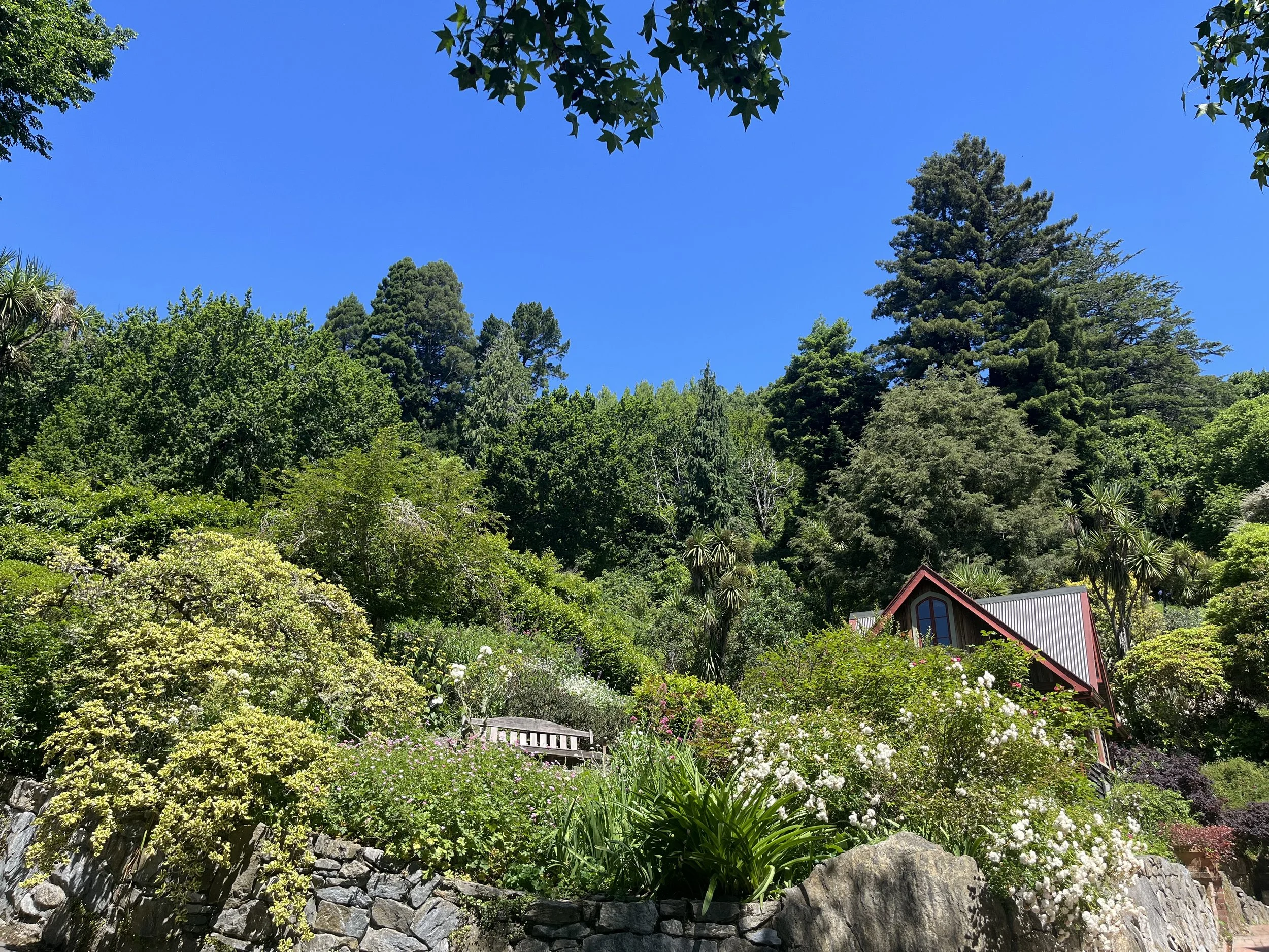 A bright, clear day with a blue sky and a variety of green trees, shrubs, and flowering plants in a garden or natural setting, with a small red and gray building partially visible at the bottom right.