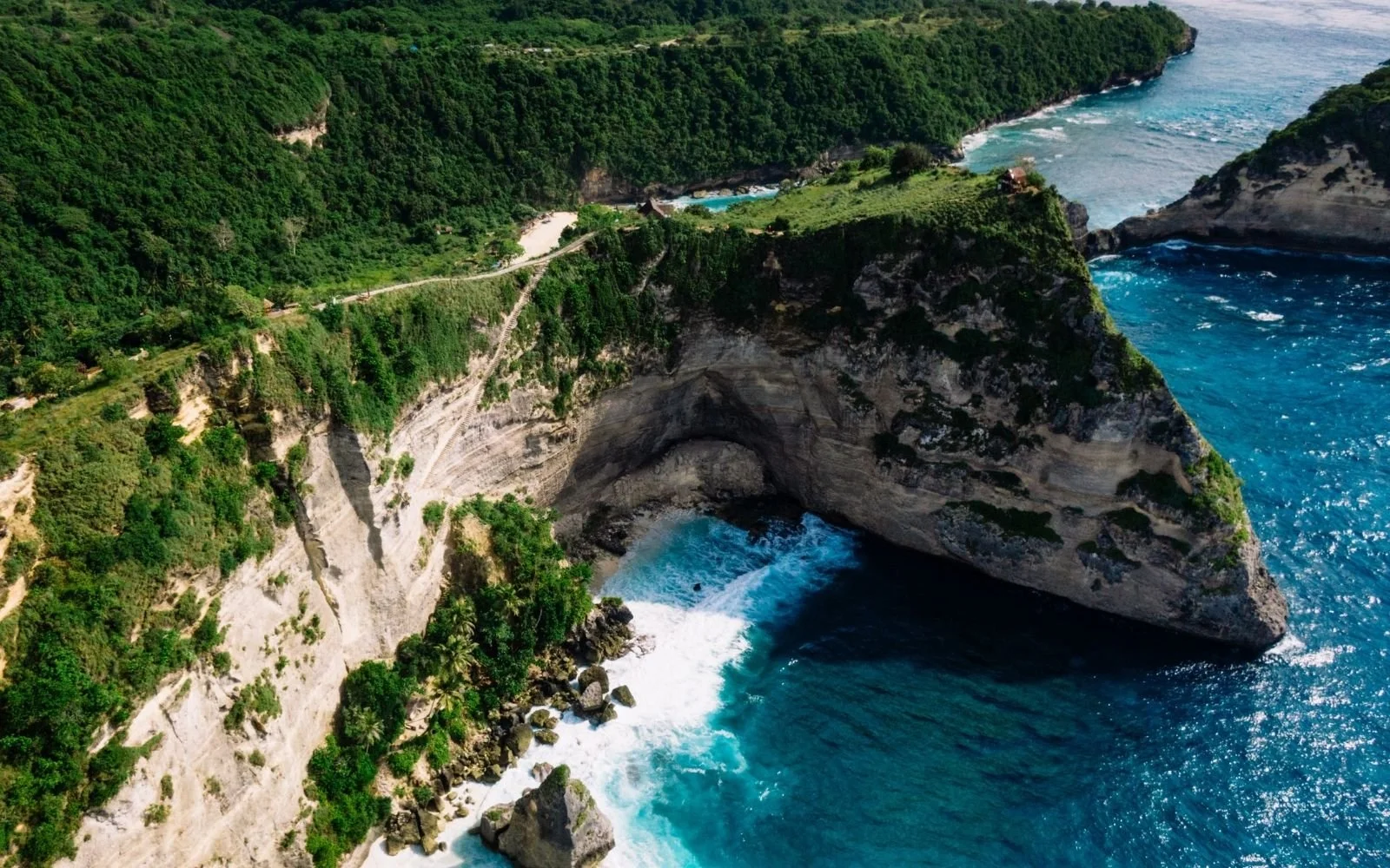 Aerial view of a coastal cliff with a natural arch, lush green vegetation, and the ocean with waves crashing against the rocks.
