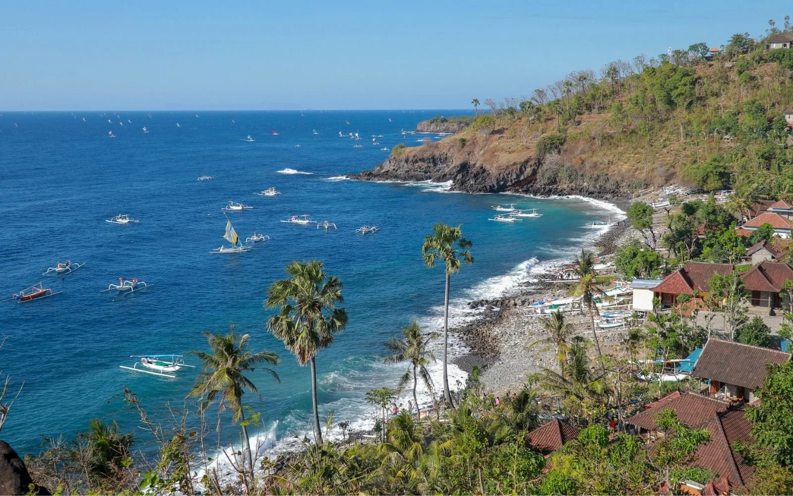 Tropical coastal scene with a rocky shore, lush green hillside, houses with red roofs, tall palm trees, and many boats on blue ocean water.