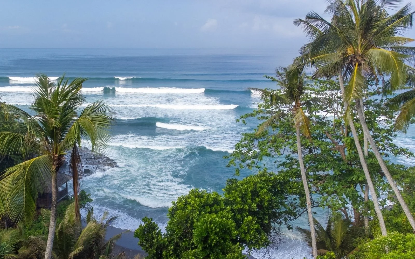 Tropical beach scene with palm trees and ocean waves.