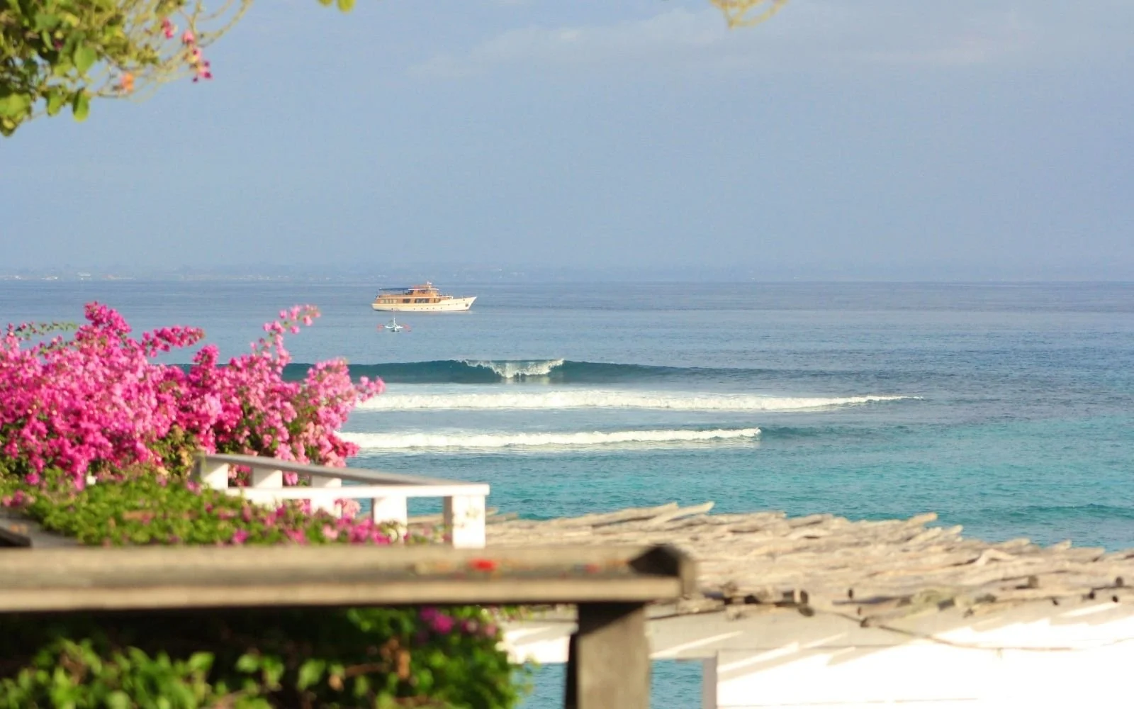 Peaceful ocean view with pink flowers in the foreground, waves, and a yacht in the distance.