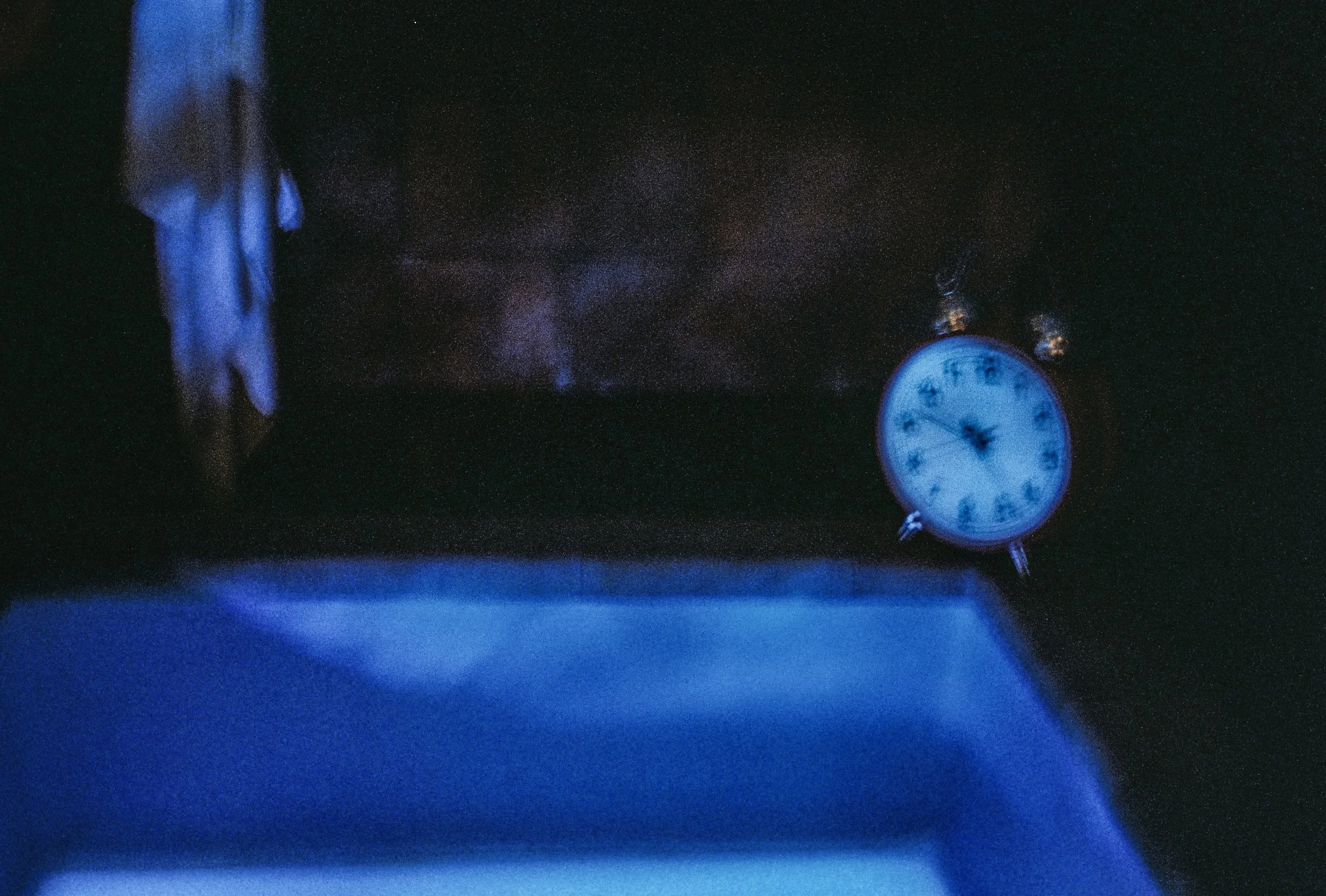 Temporary Shelter 2026