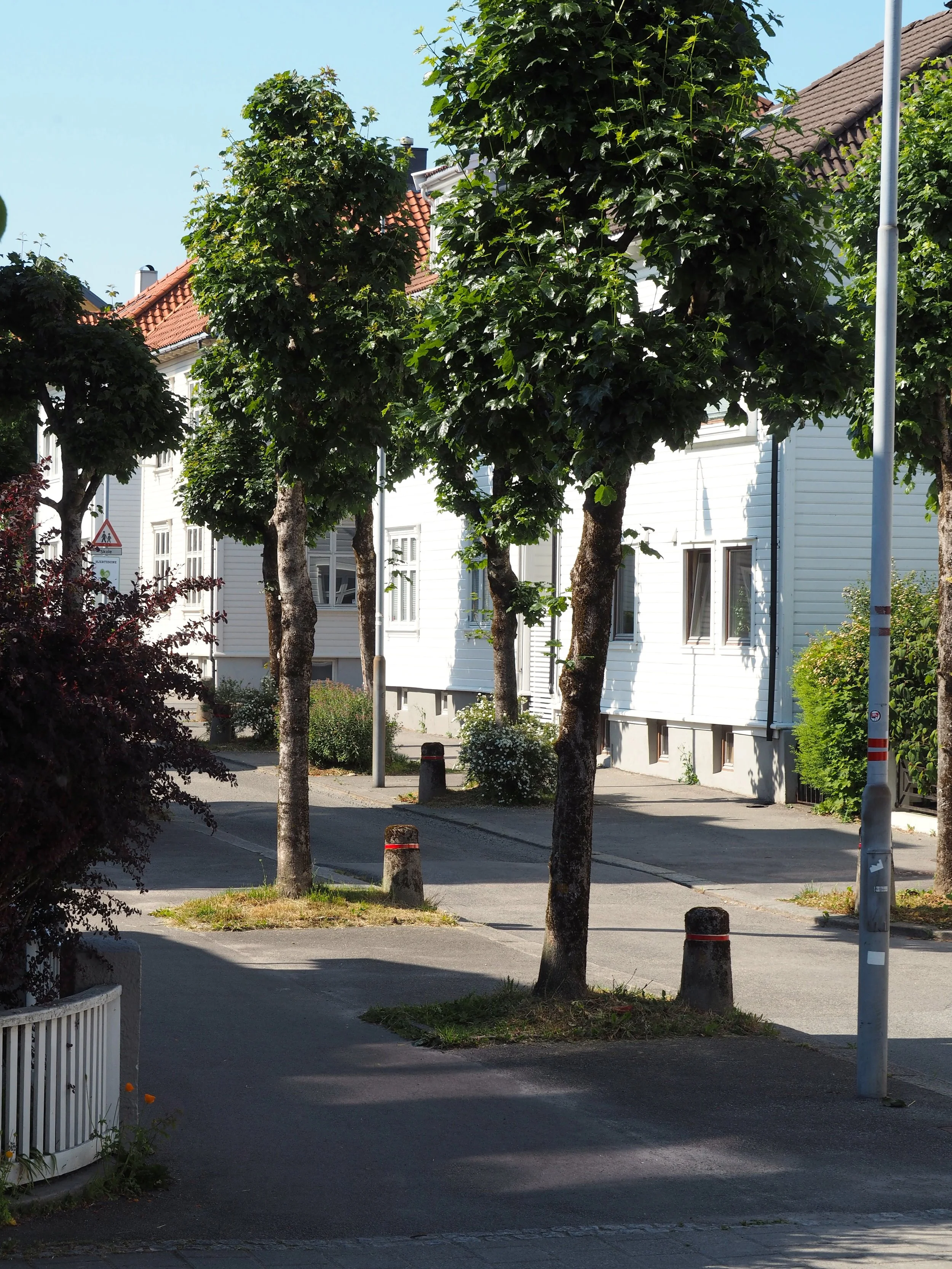 P1010094.JPG