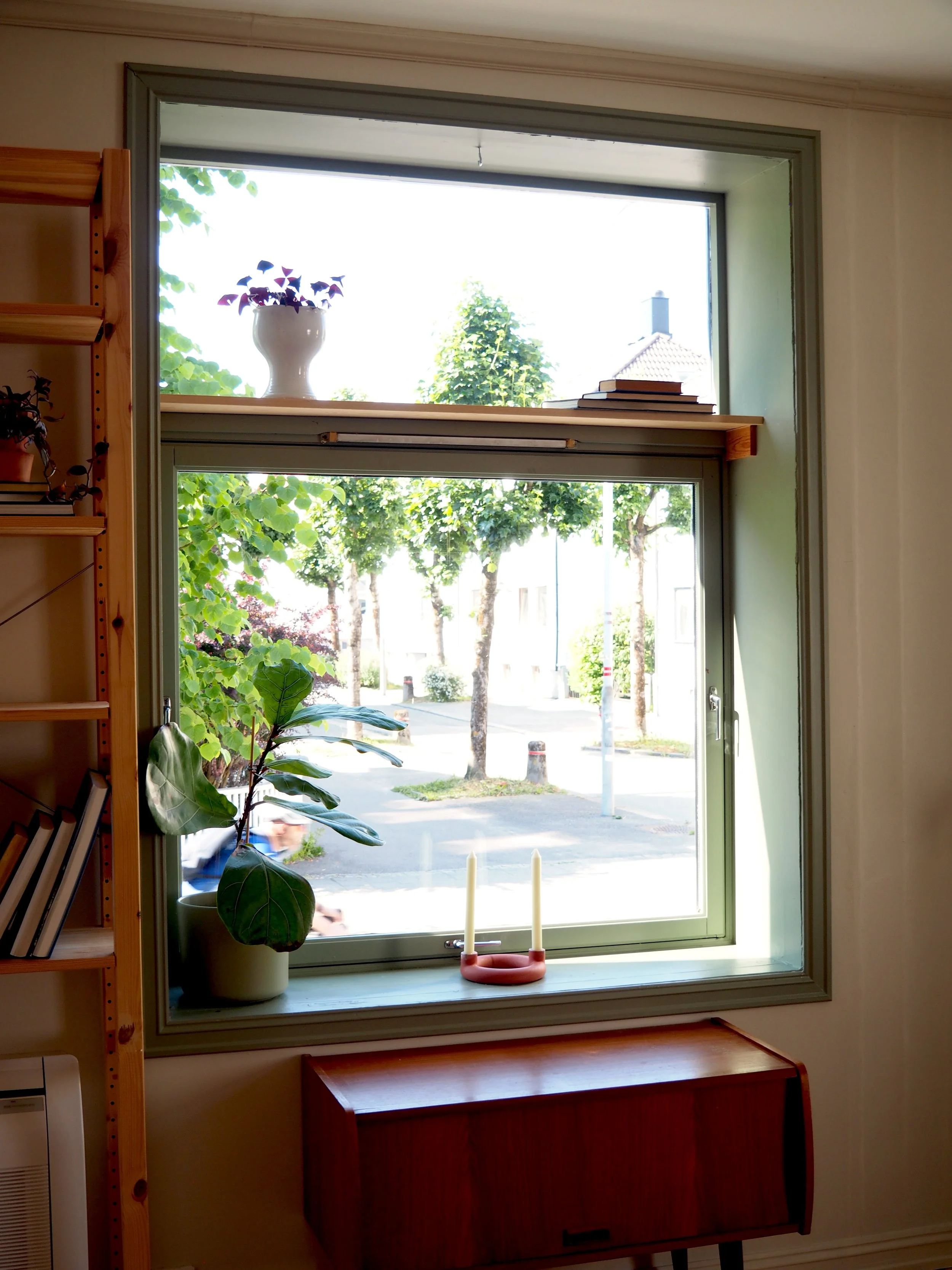 P1010093.JPG