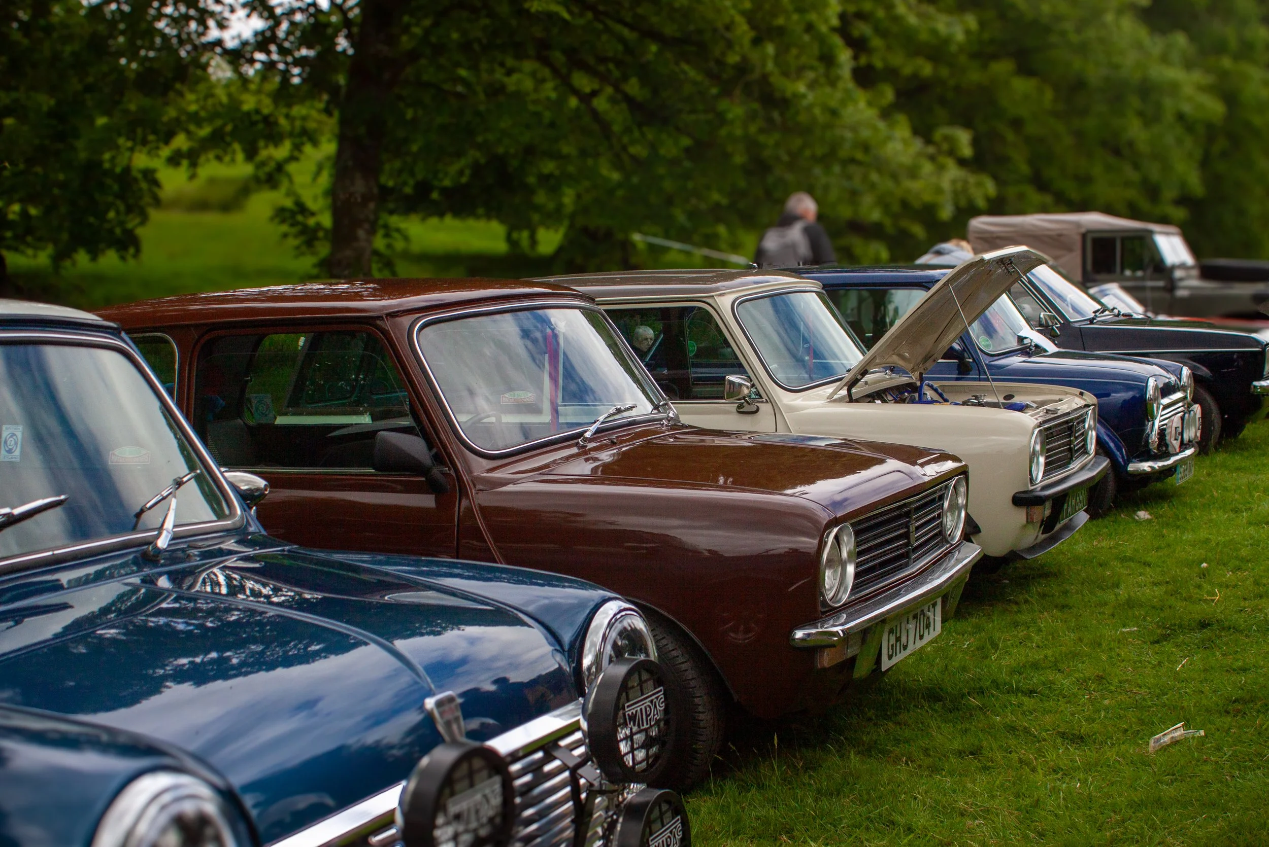 RALLY-4.jpg