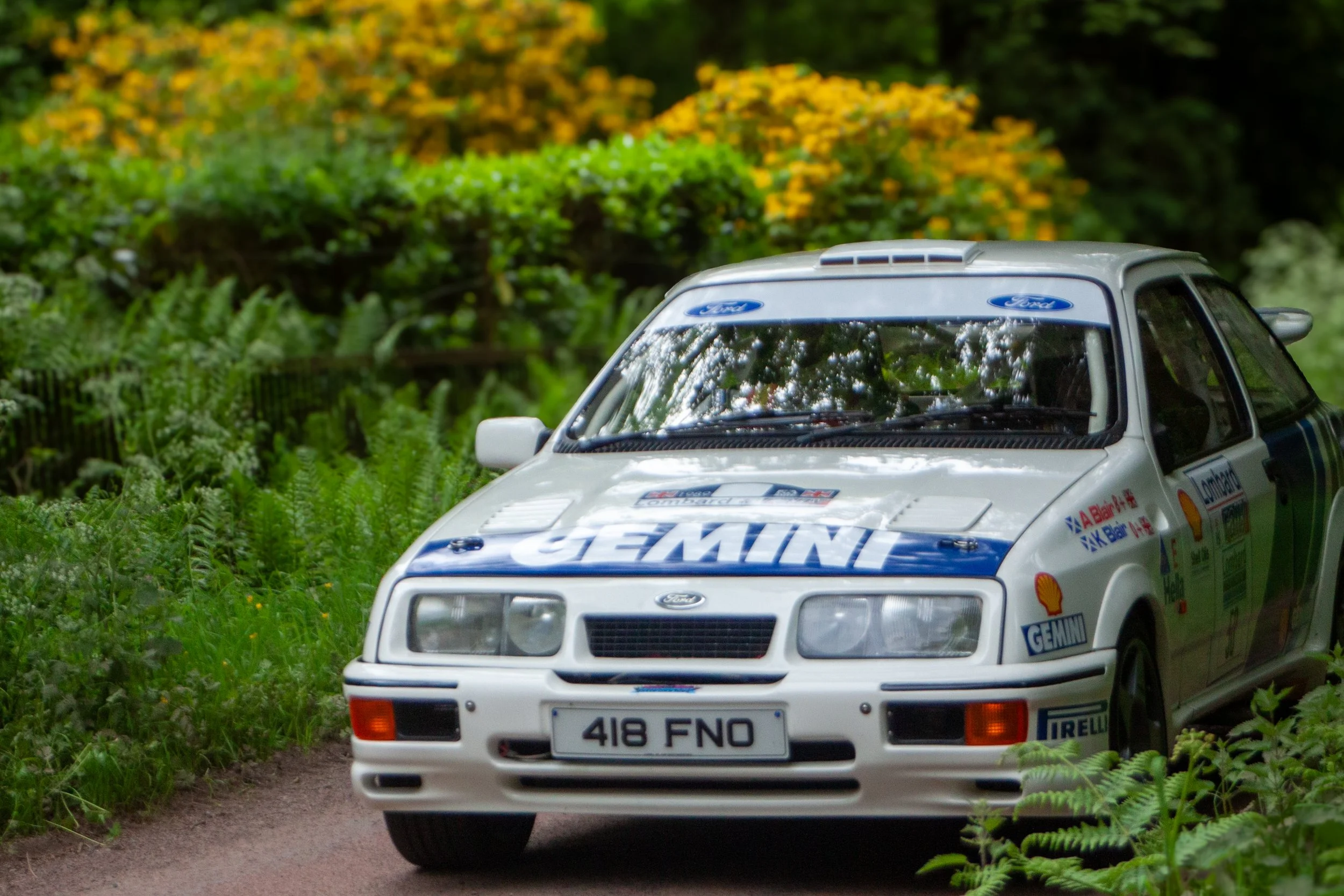 RALLY-7.jpg