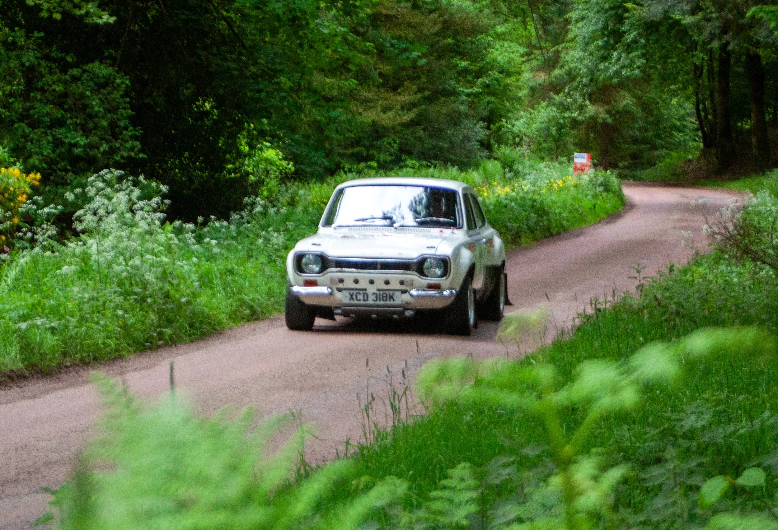 RALLY-15.jpg