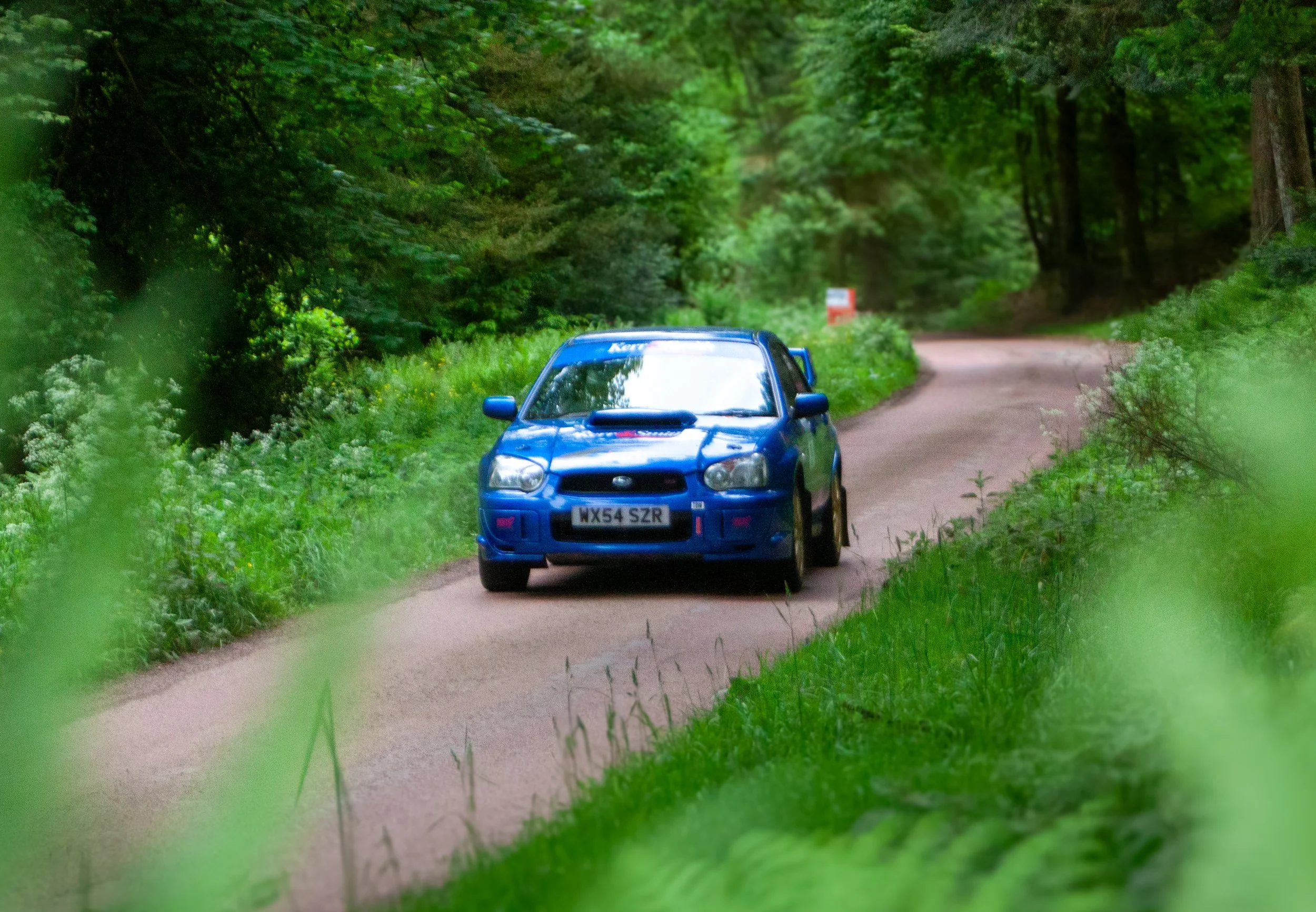 RALLY-11.jpg
