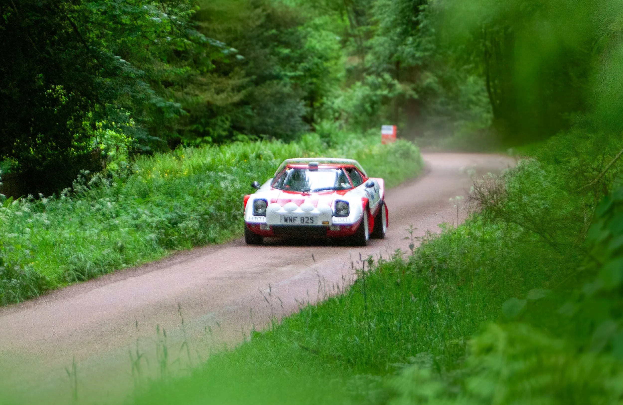 RALLY-10.jpg