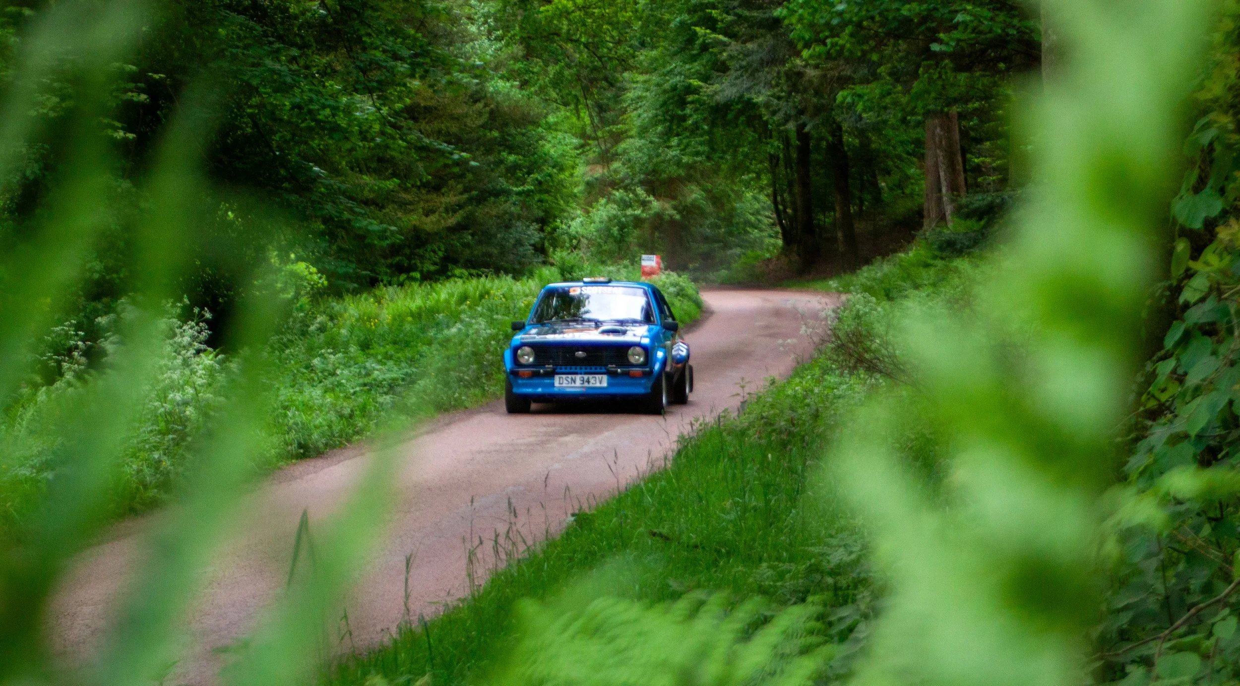 RALLY-12.jpg