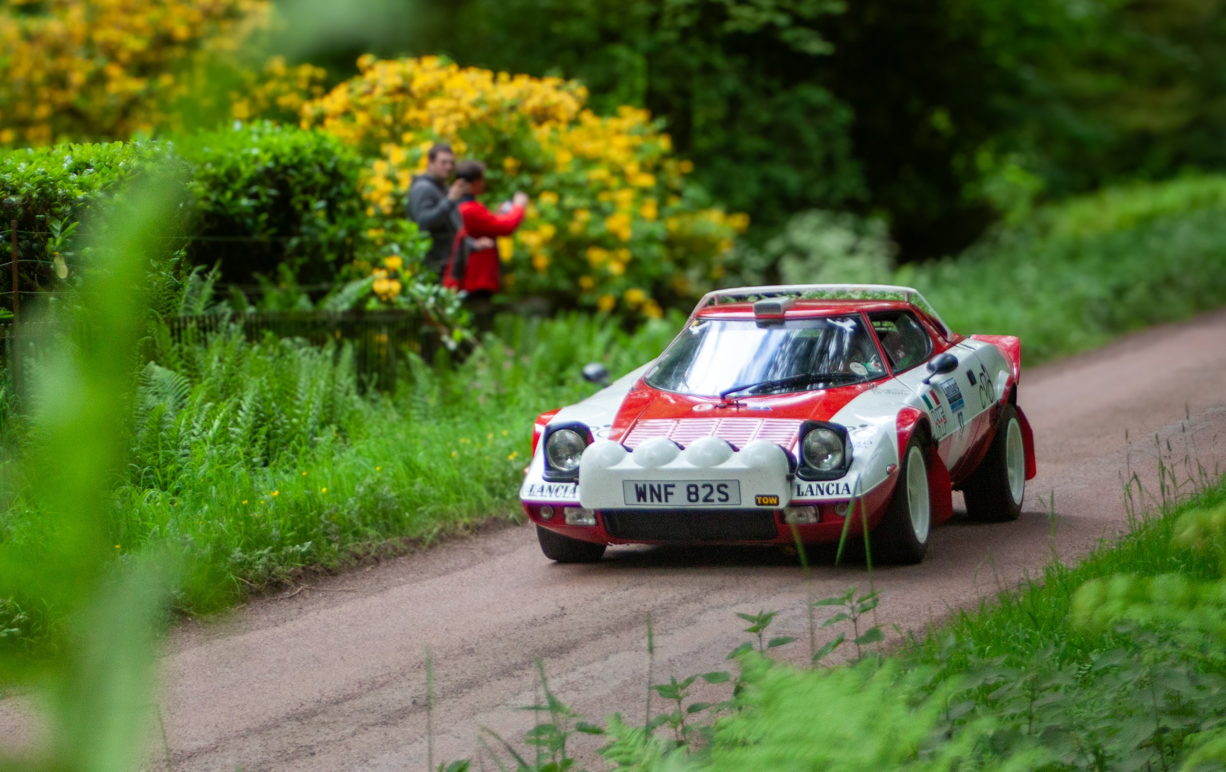 RALLY-13.jpg