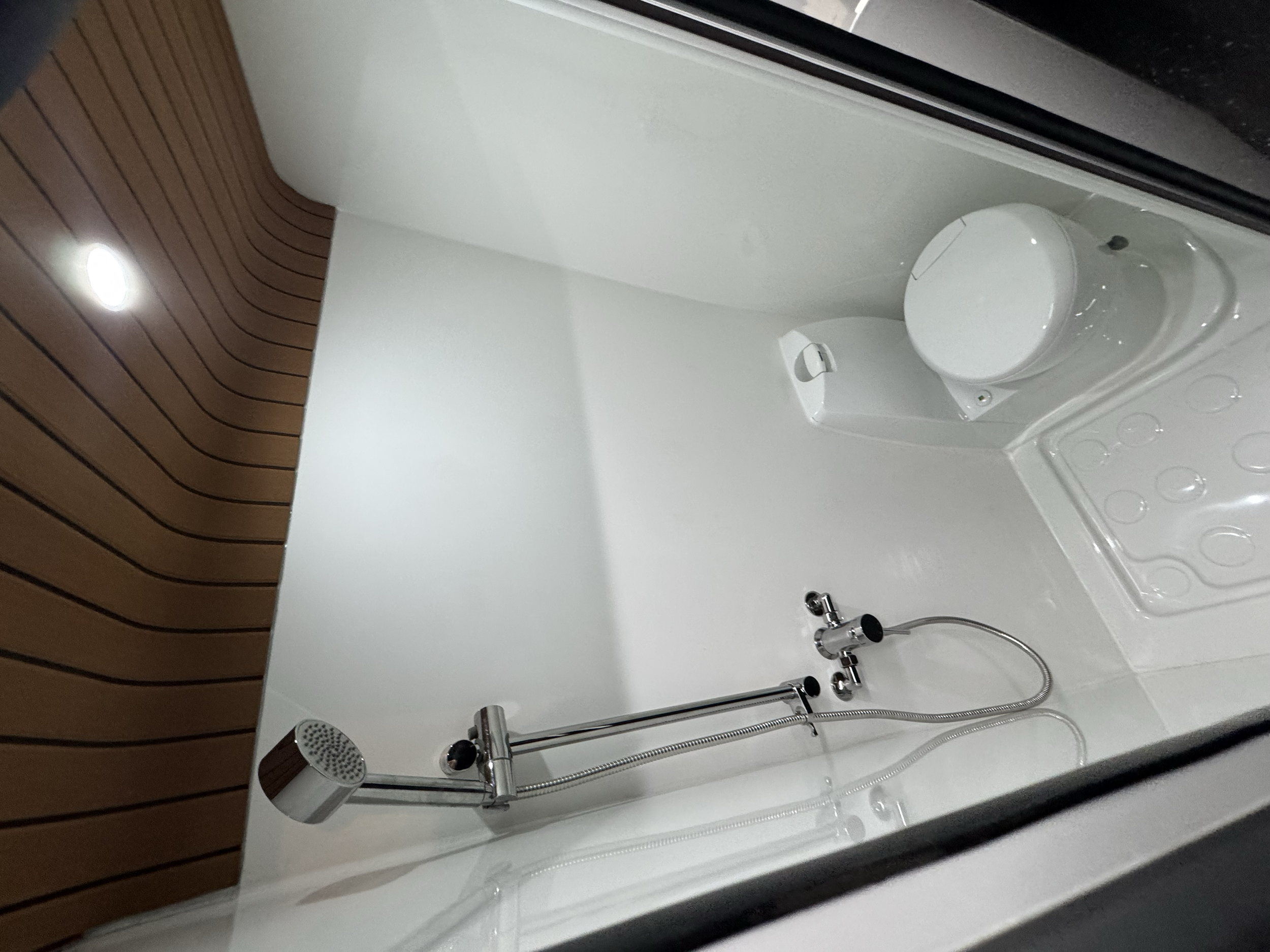 Full stunning shower and toilet.
