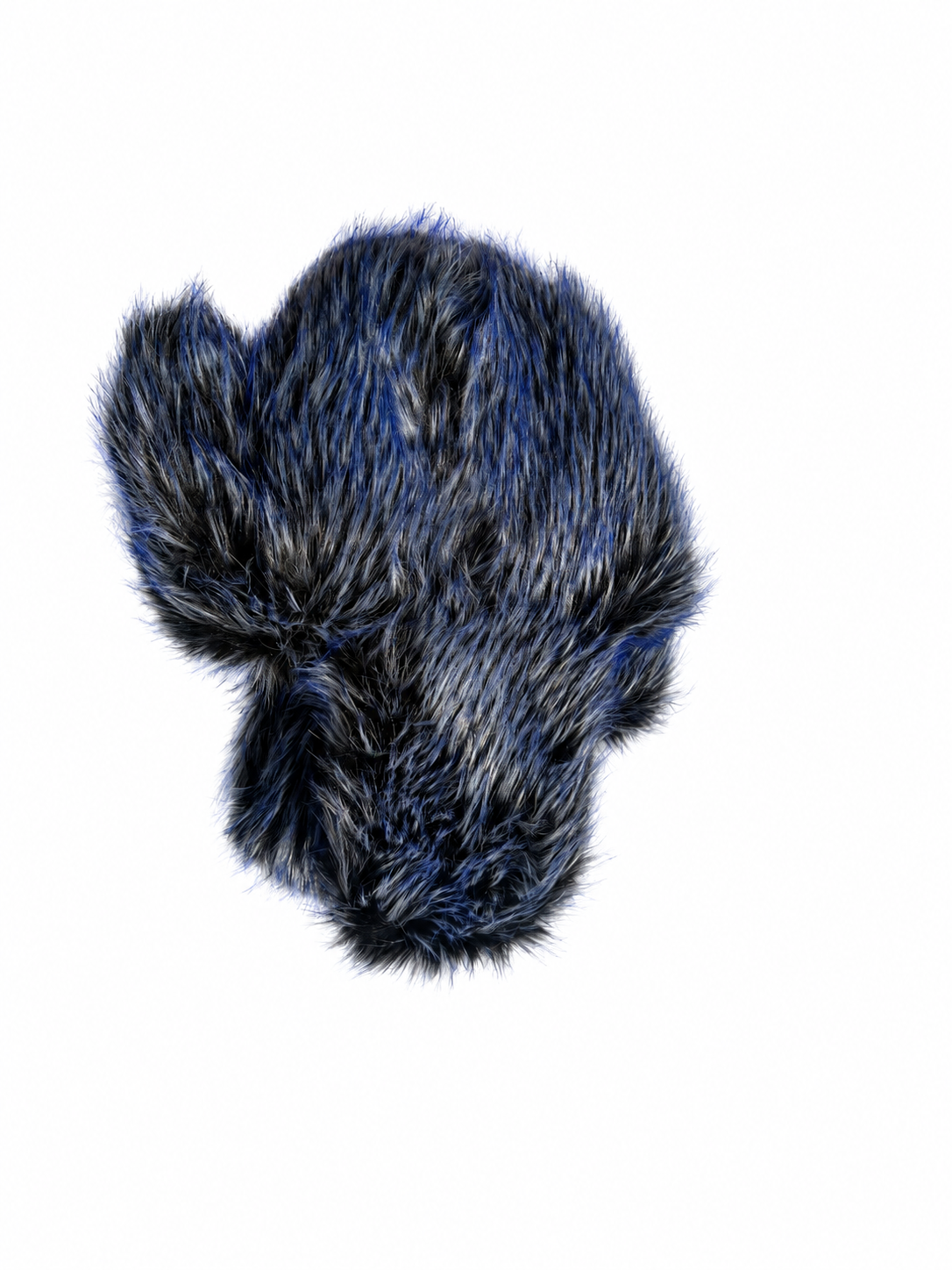 IMG_8854.PNG