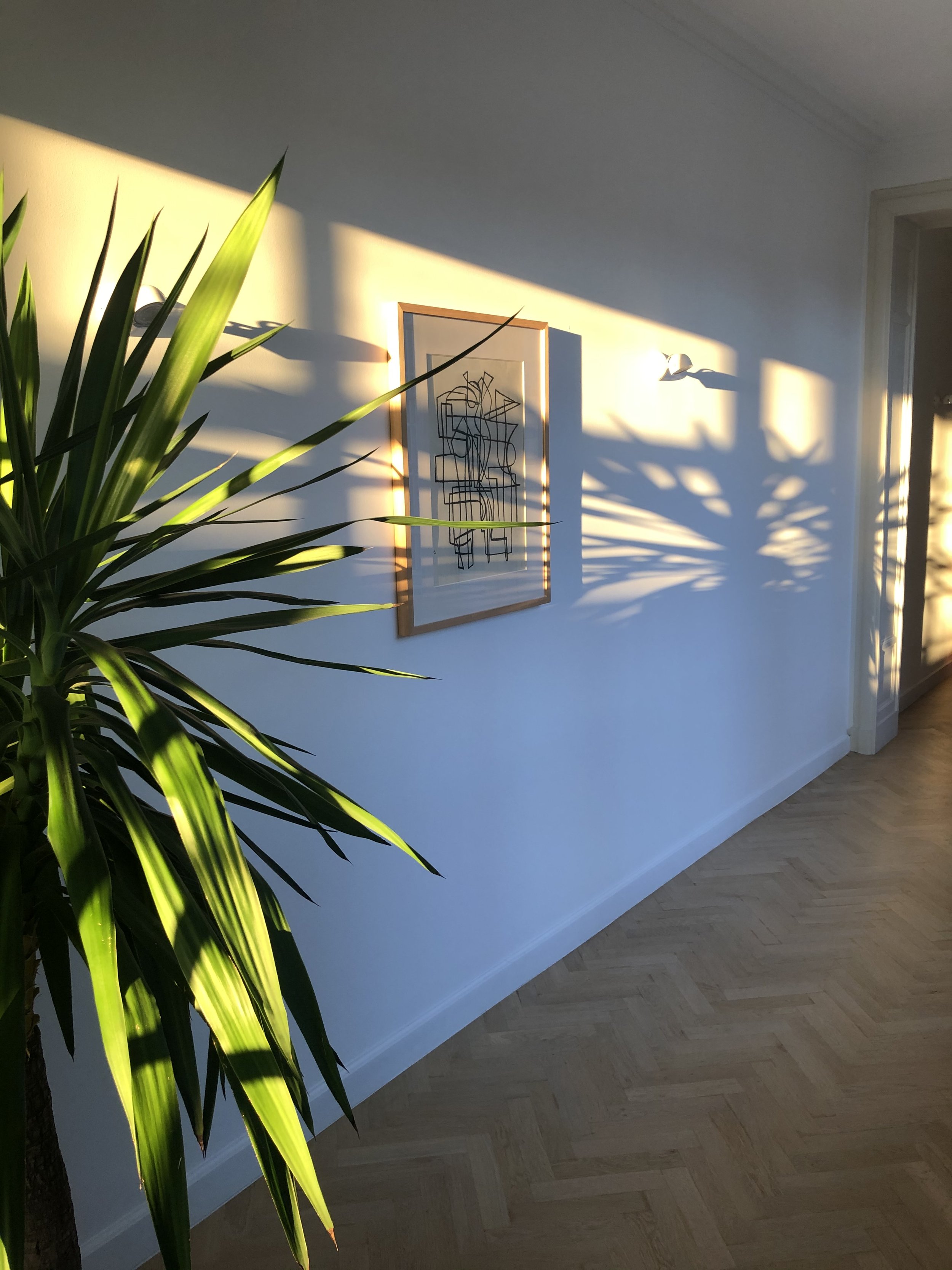 Interior scene with a large green plant on the left, a framed abstract line art picture on the wall, and sunlight casting shadows in the room.