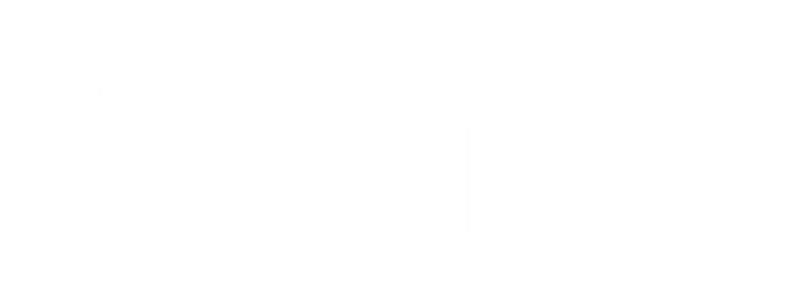 Solon management &amp; organisatie