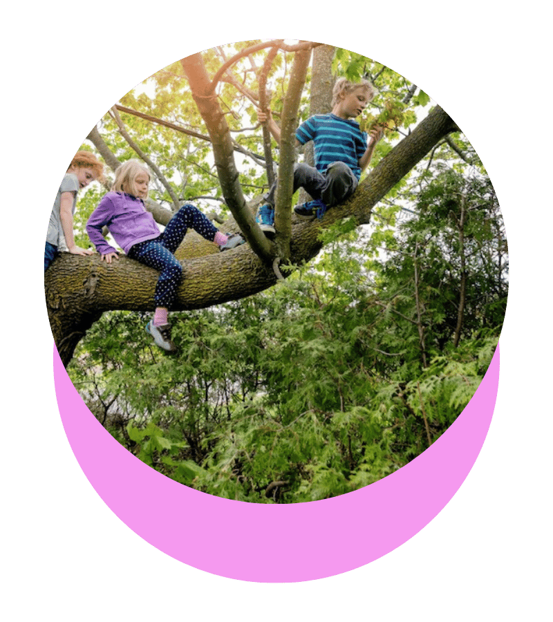 Trois enfants jouent dans un arbre en pleine nature.