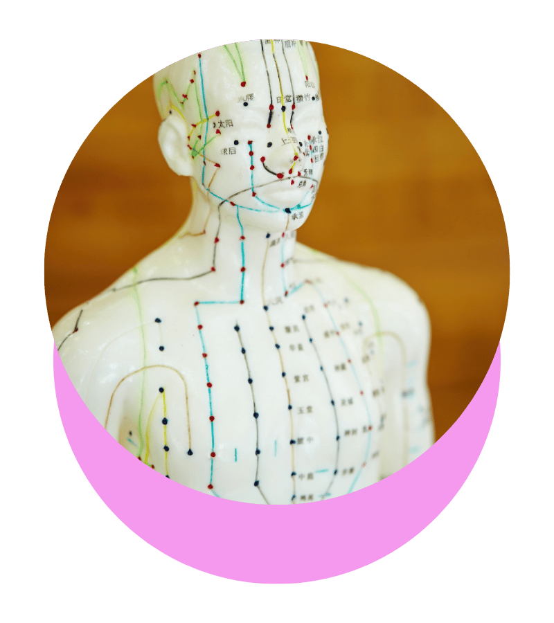 Modèle anatomique d'un corps humain avec des lignes et des points représentant des méridiens et des points d'acupuncture, vue de face.