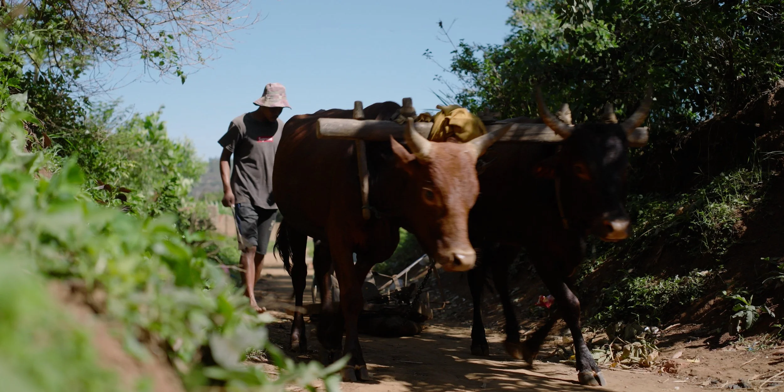 Sequence 01.04_30_31_10.Still403.jpg